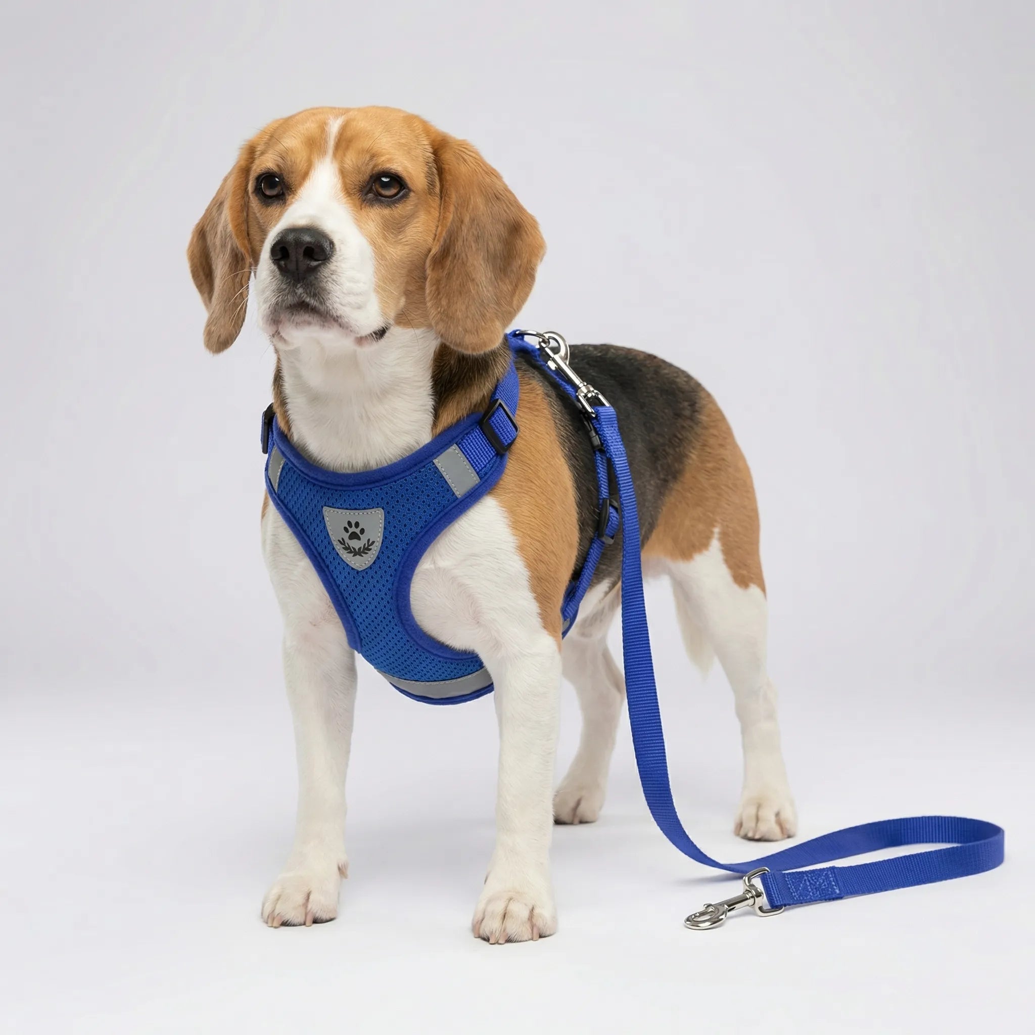 Nordspur | Pawvest Vest-Style Harness And Leash Set
