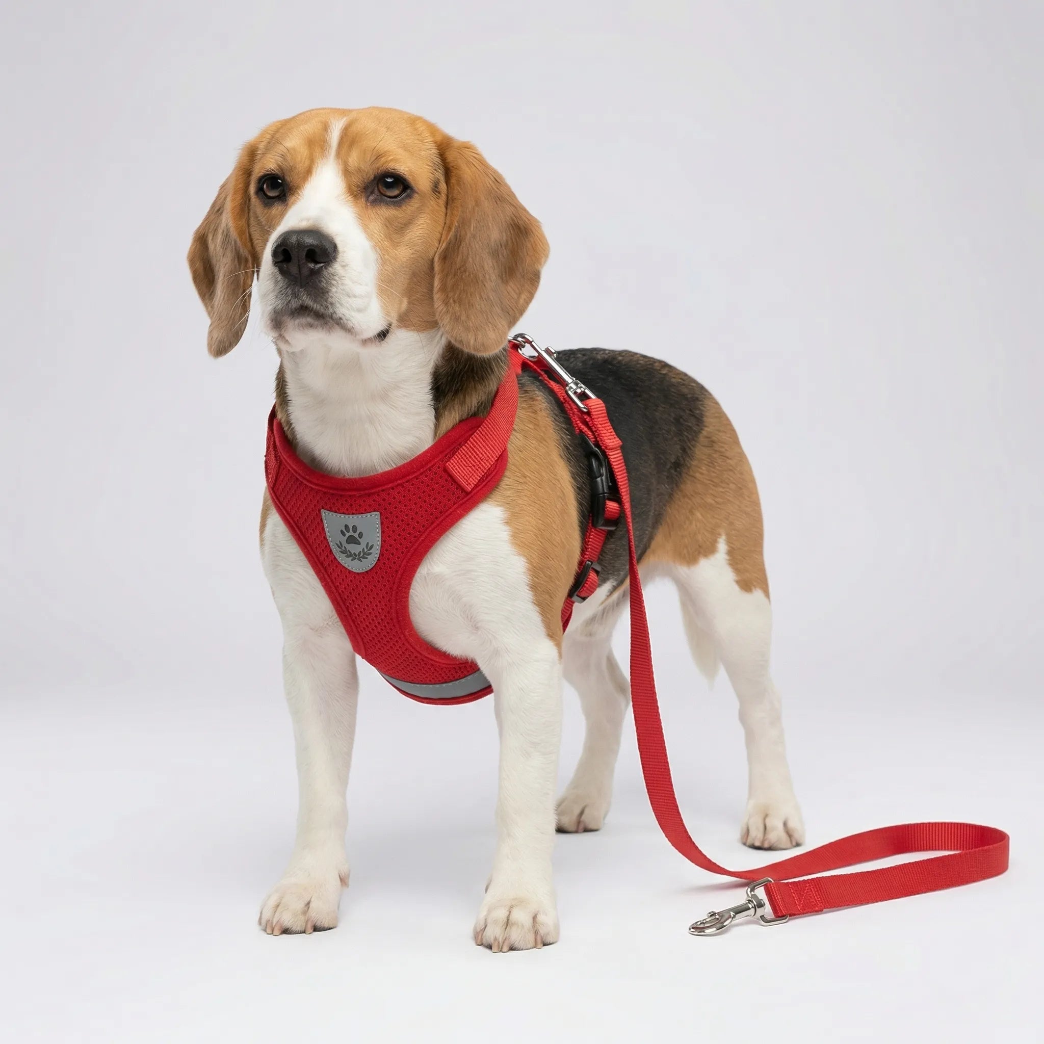 Nordspur | Pawvest Vest-Style Harness And Leash Set