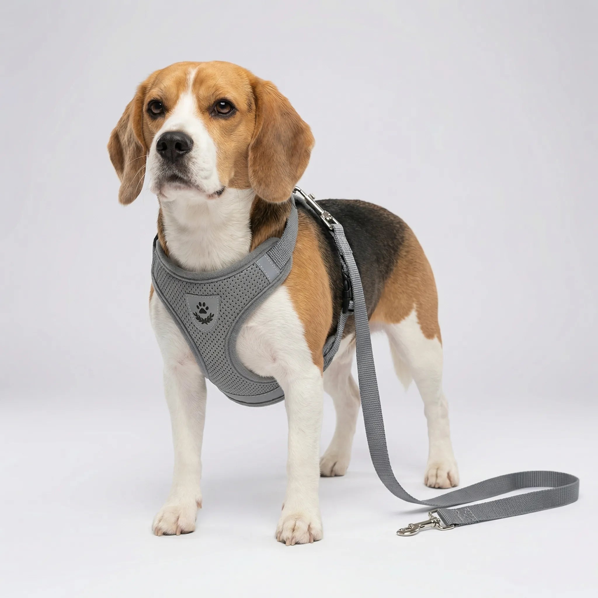 Nordspur | Pawvest Vest-Style Harness And Leash Set