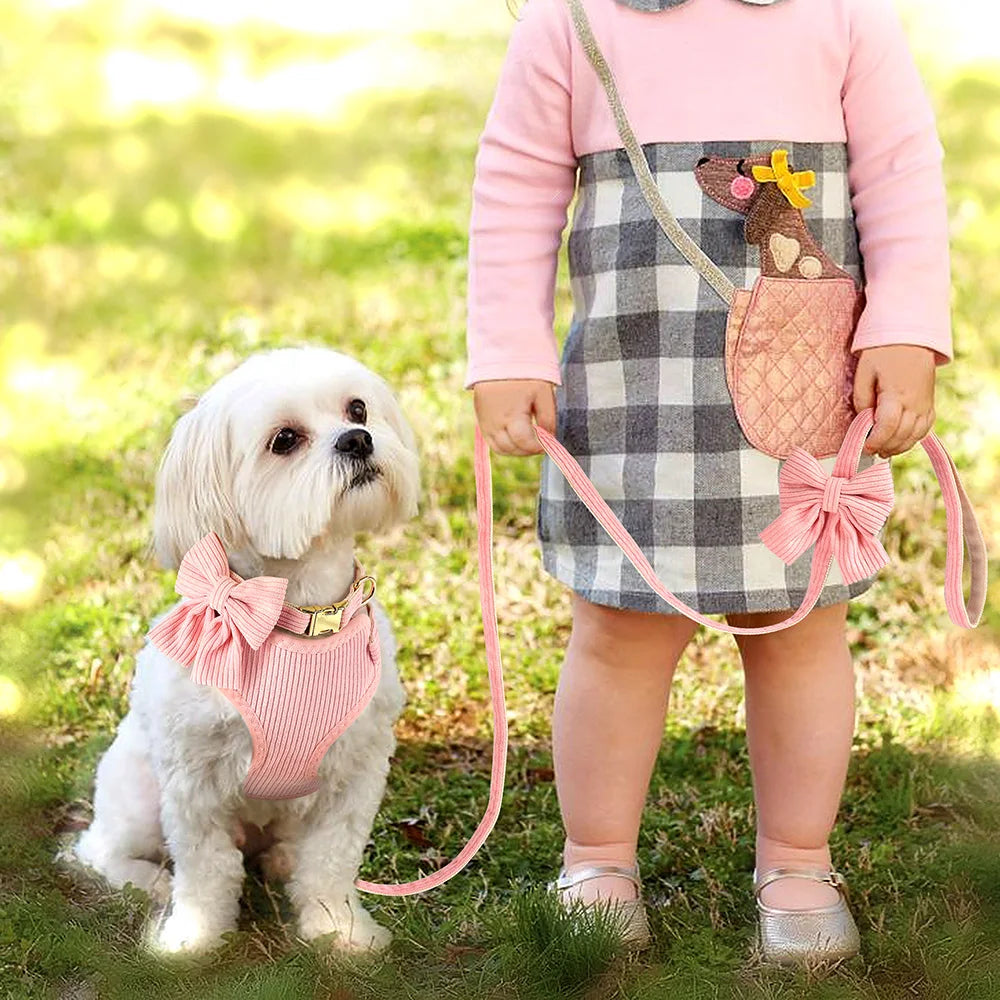 Nordspur | Pawvette 3-Piece Vest Harness Collar Leash Set