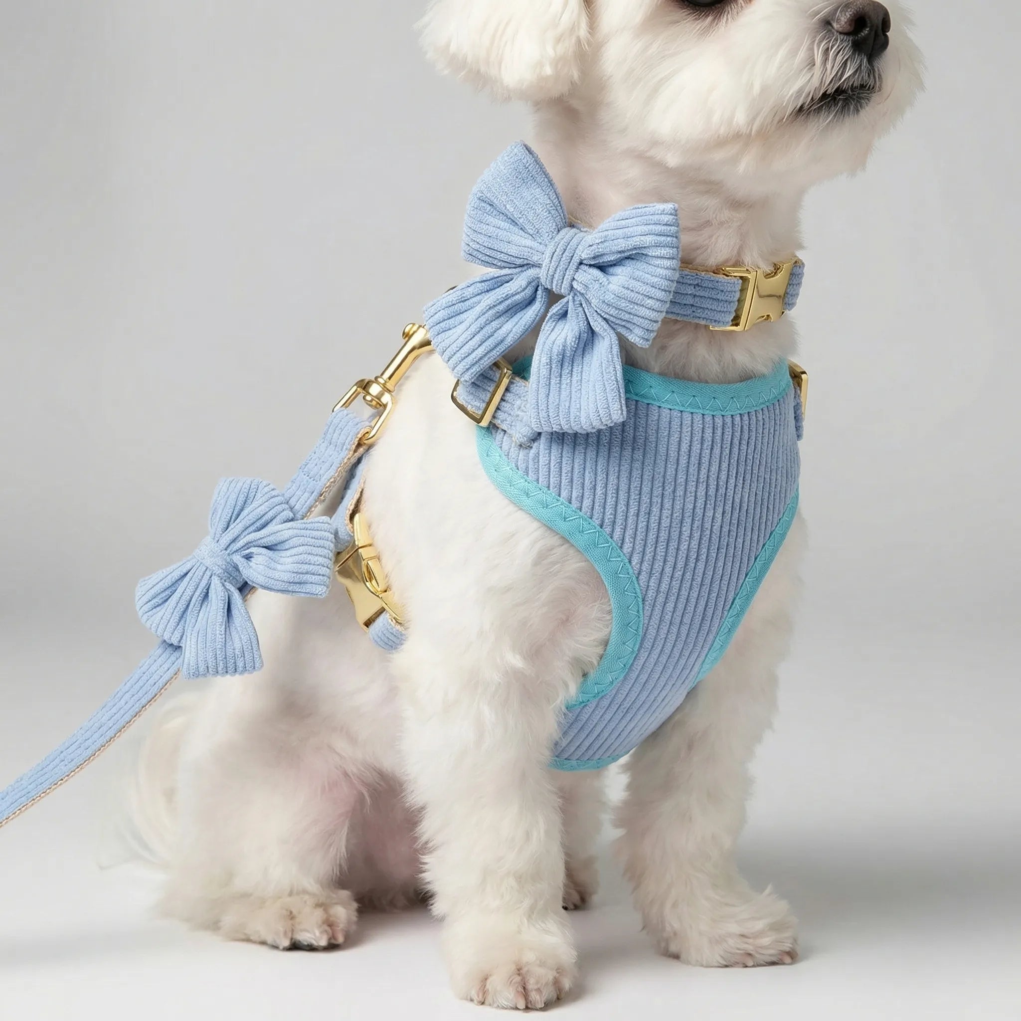 Nordspur | Pawvette 3-Piece Vest Harness Collar Leash Set