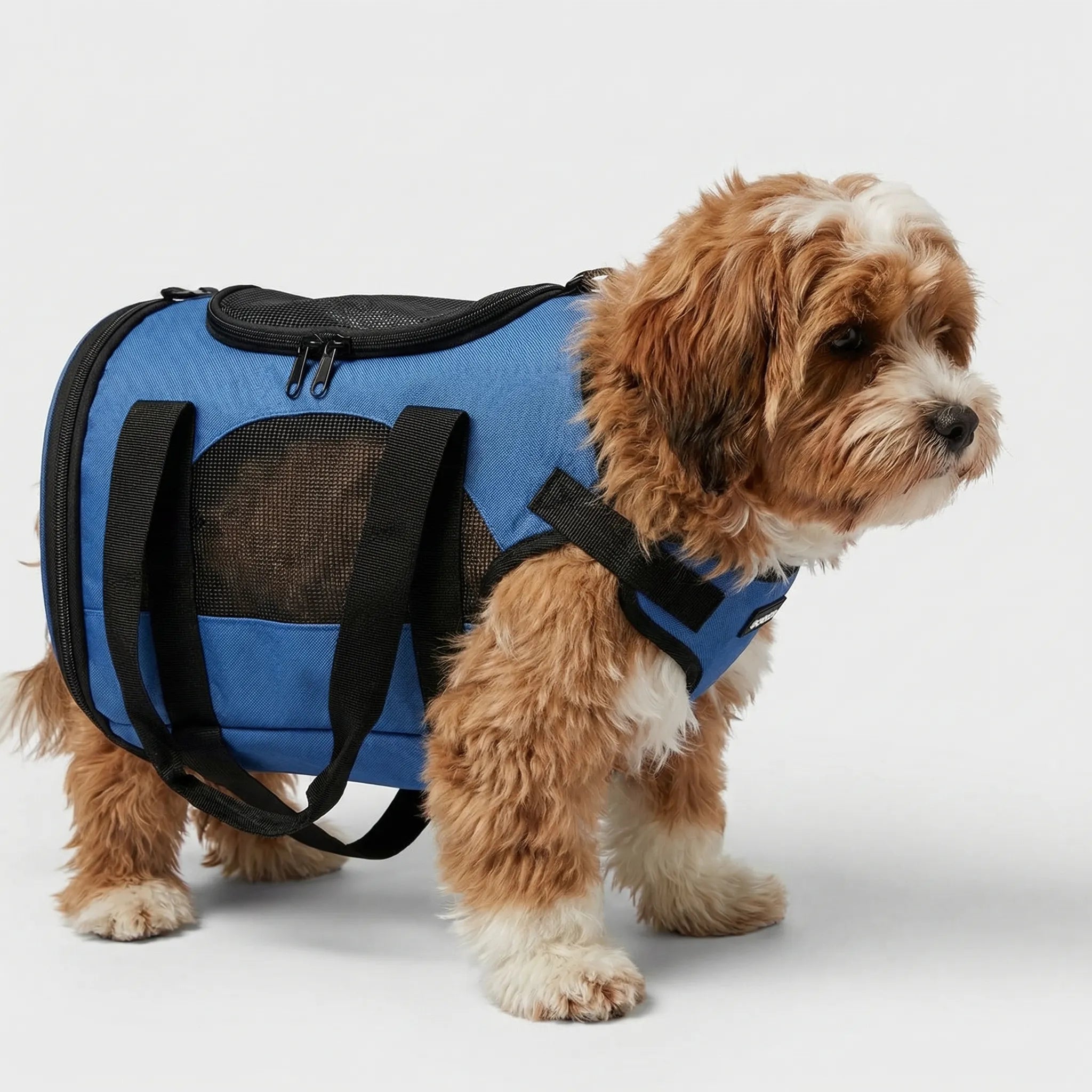 Nordspur | Petluxe Foldable Mesh Pet Carrier Bag
