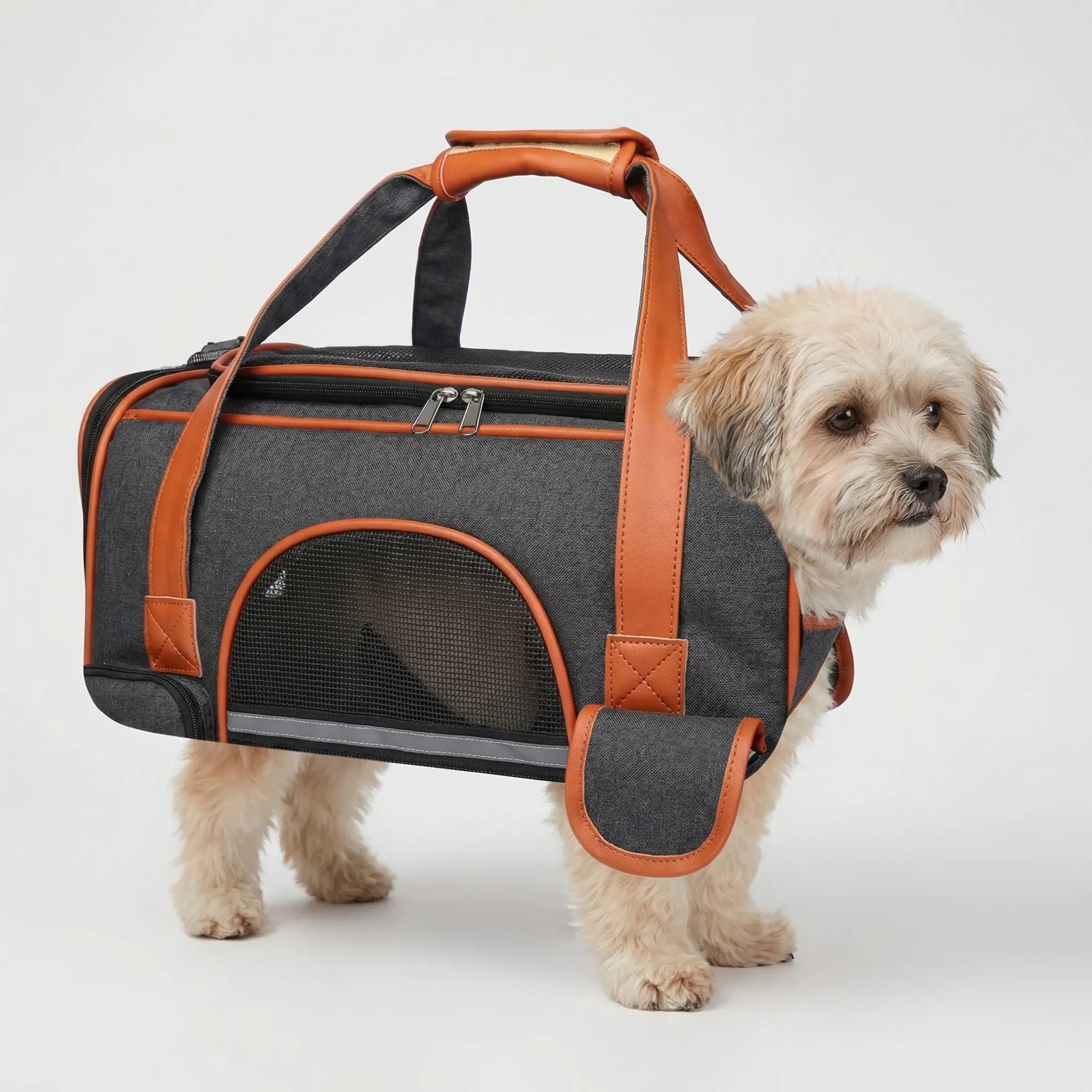 Nordspur | Pettrove Anti-Collapse Structured Pet Carrier Bag