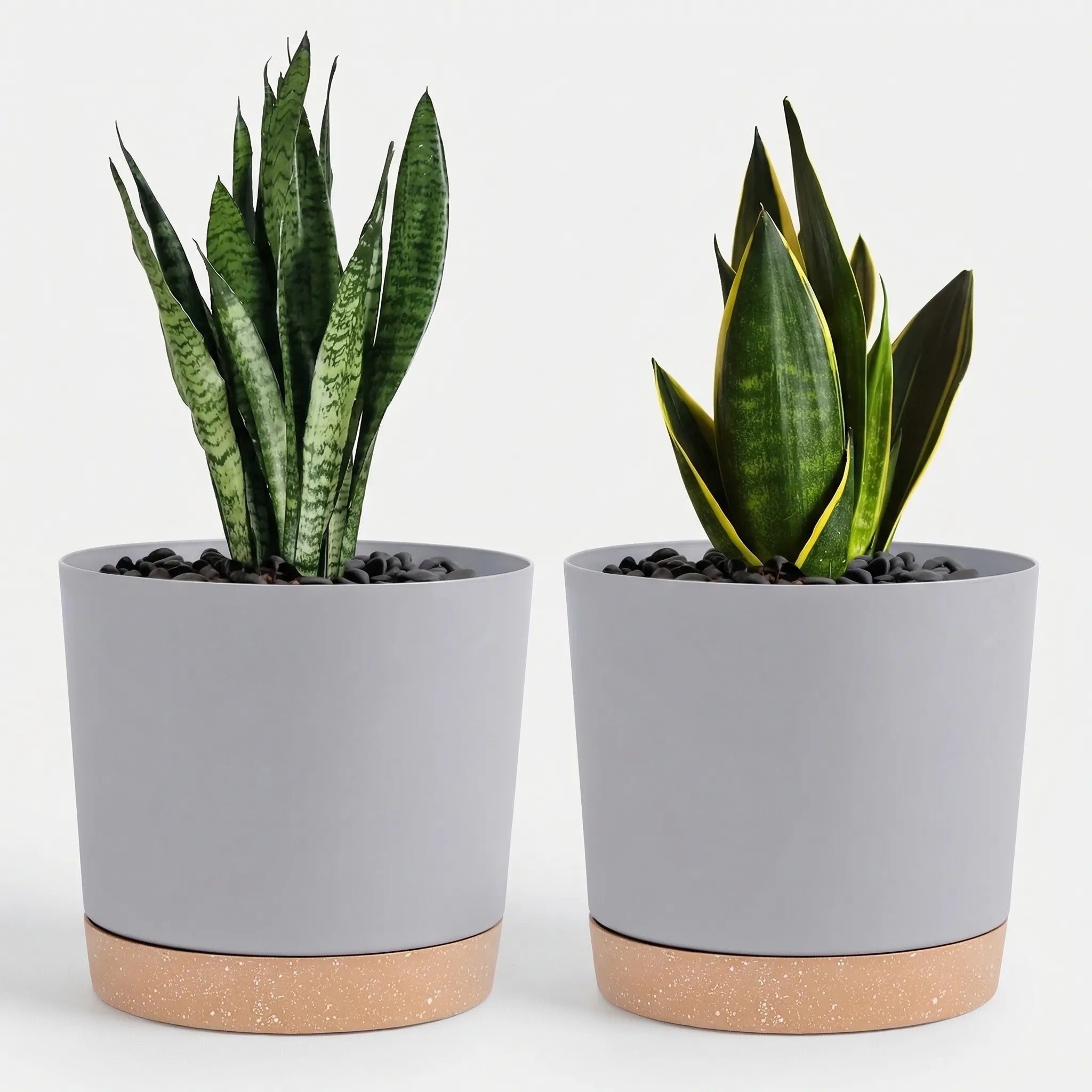 Nordspur | Plotbury Round Detachable-Base Plant Pot