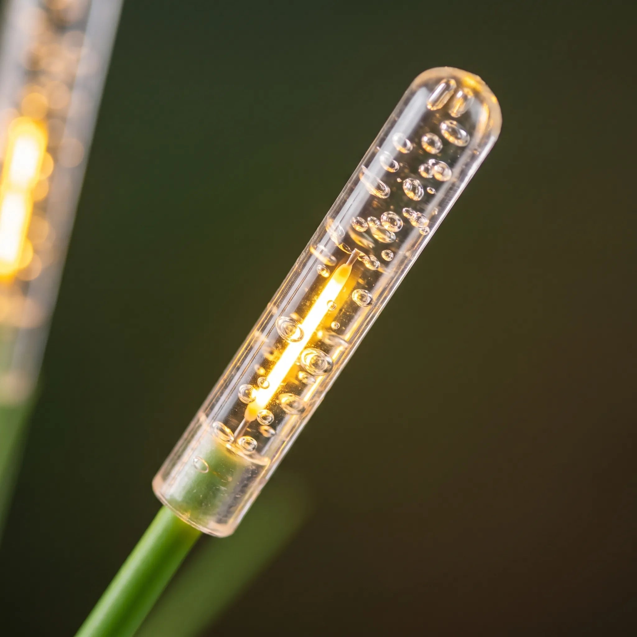 Nordspur | ReedGlow Solar Powered Outdoor Garden Lights