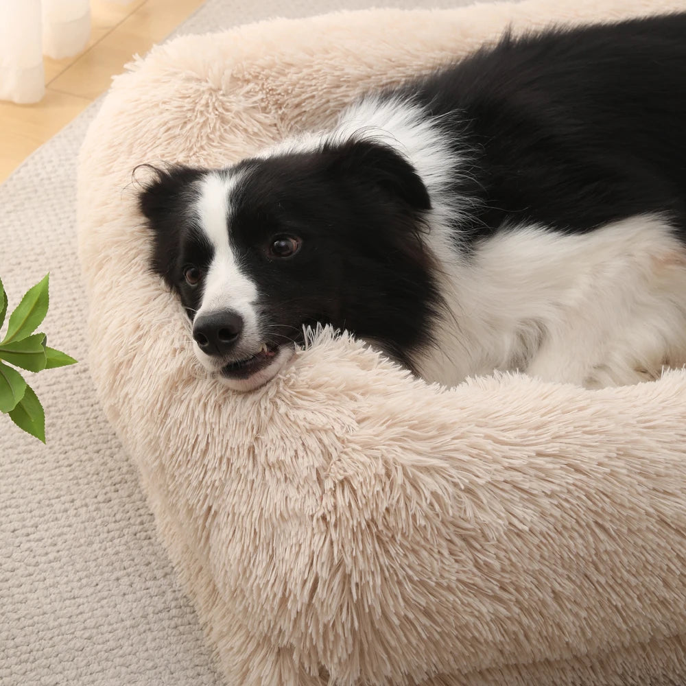Nordspur | Restora Cushioned Bolster Pet Sofa Bed