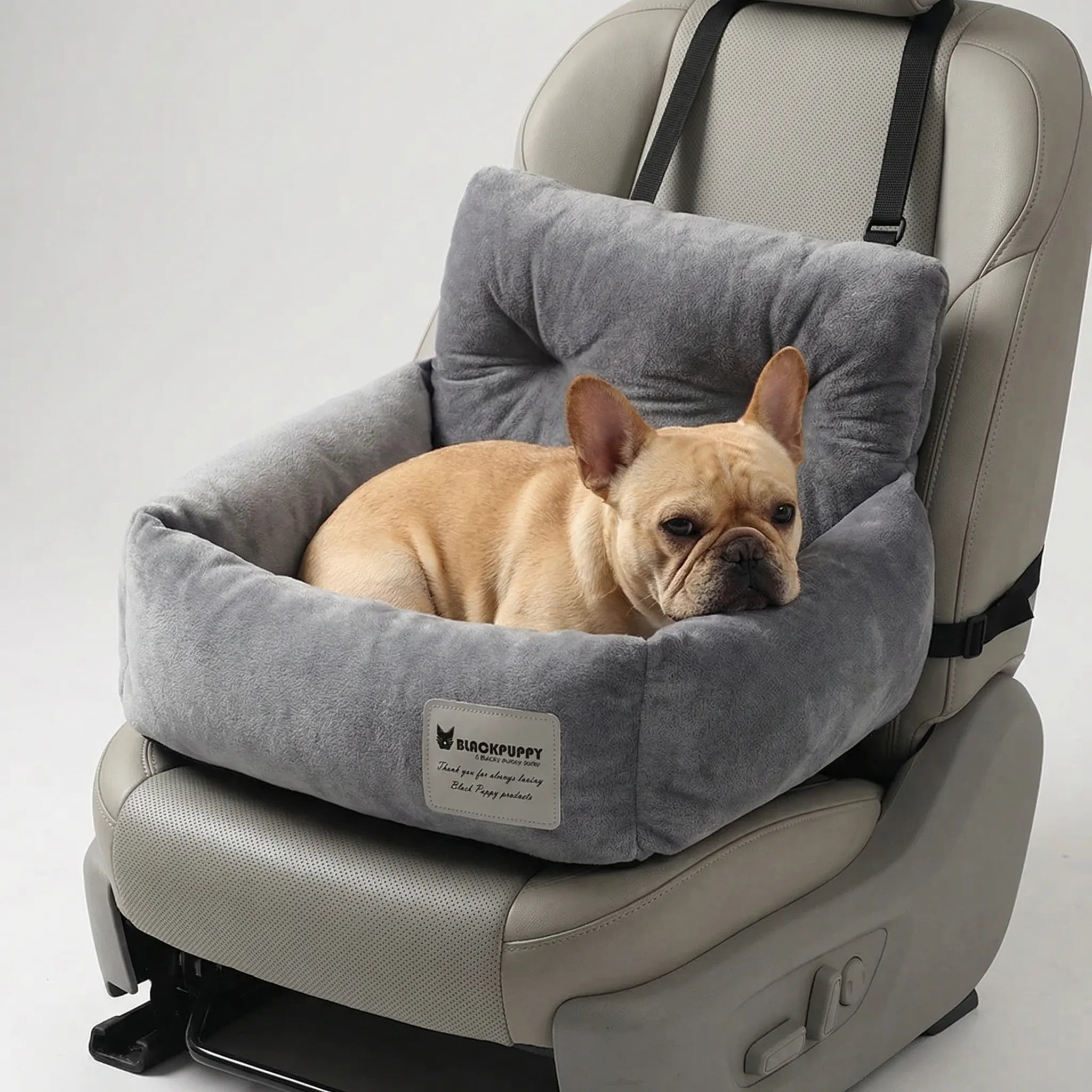 Nordspur | Roampet Padded Pet Car Seat With Backrest