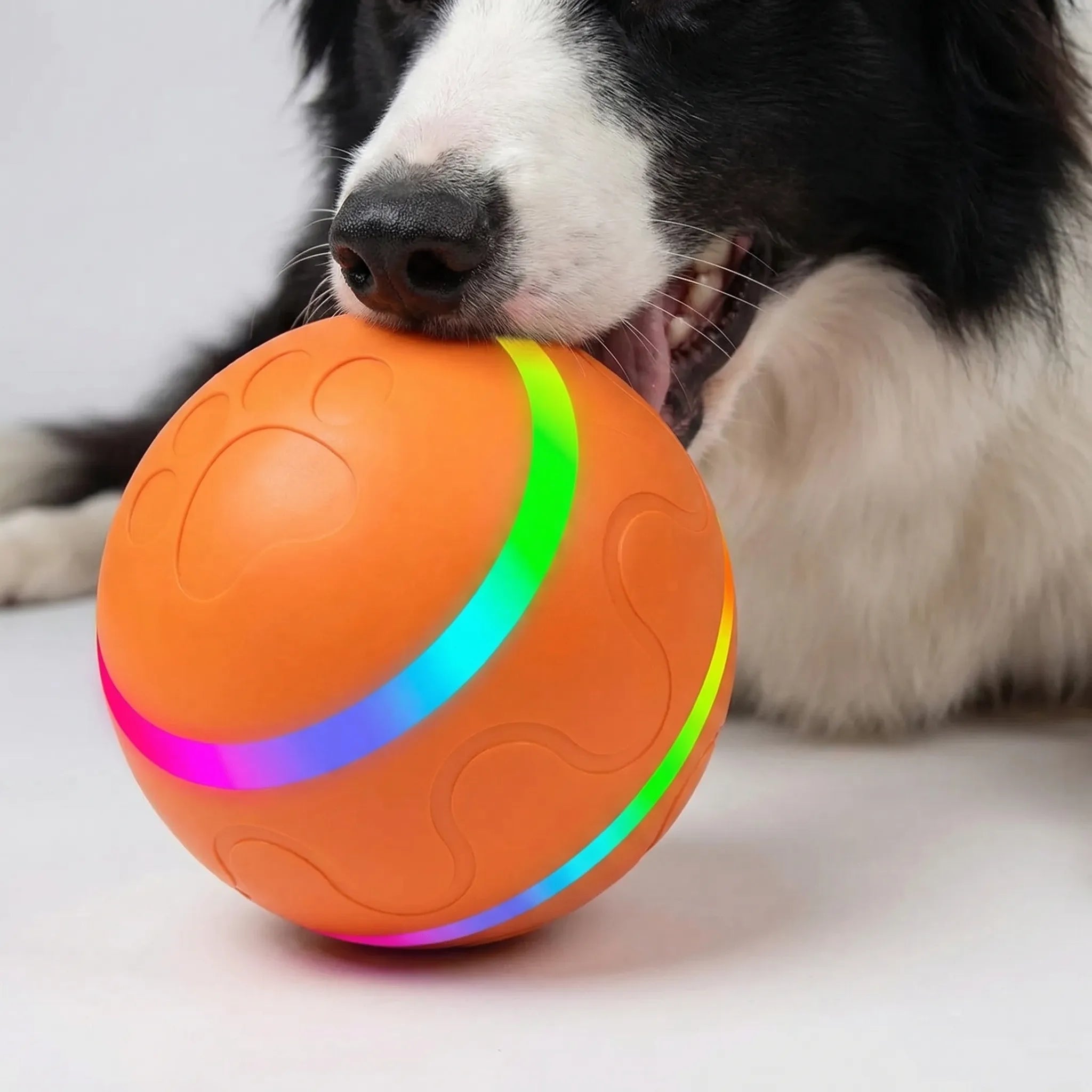 Interaktiver Hundeball mit Fernbedienung und LED-Lichtern