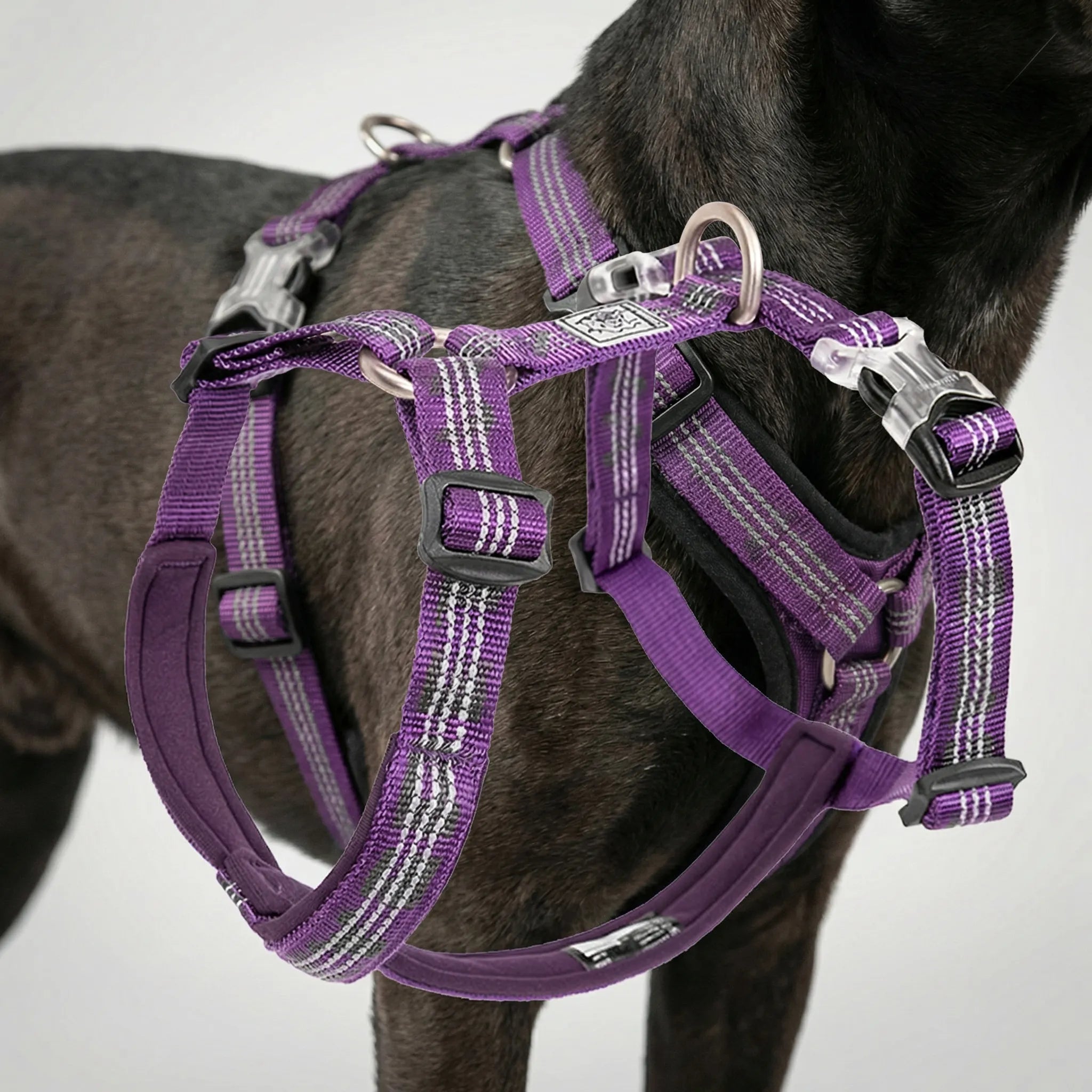 Nordspur | Roverpaw Adjustable Chest Strap Pet Harness Vest