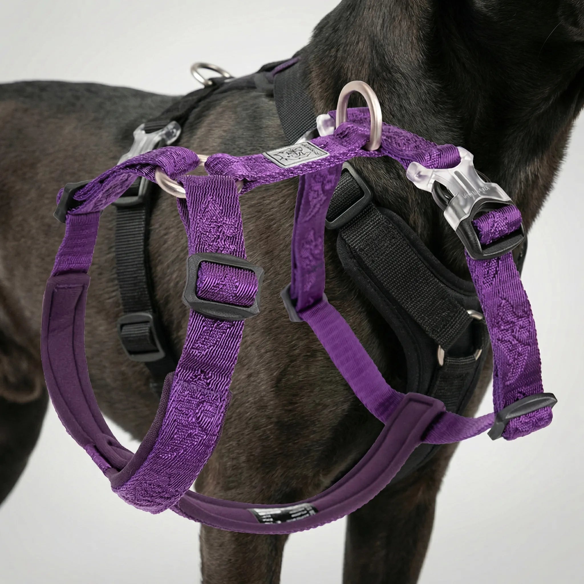 Nordspur | Roverpaw Adjustable Chest Strap Pet Harness Vest