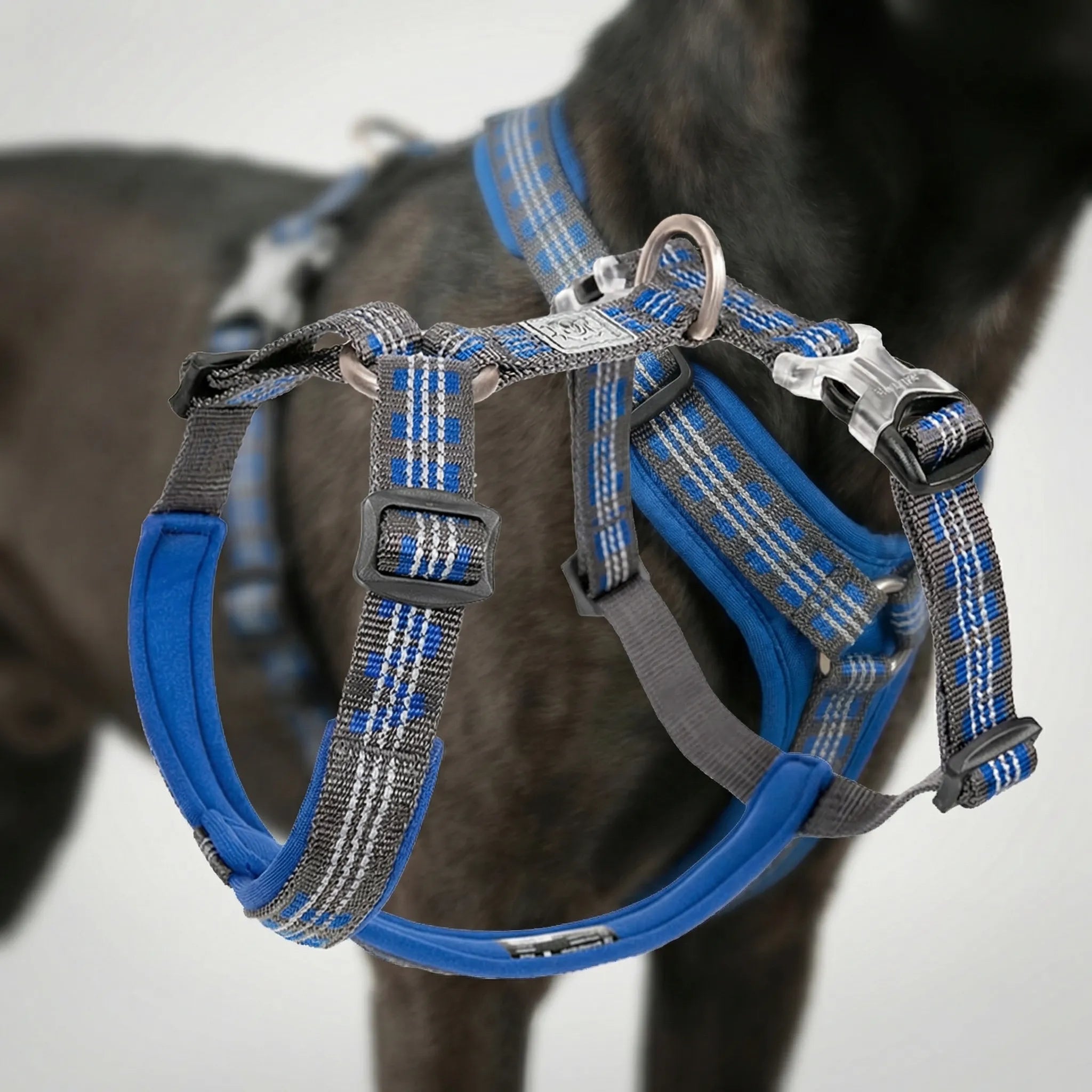 Nordspur | Roverpaw Adjustable Chest Strap Pet Harness Vest