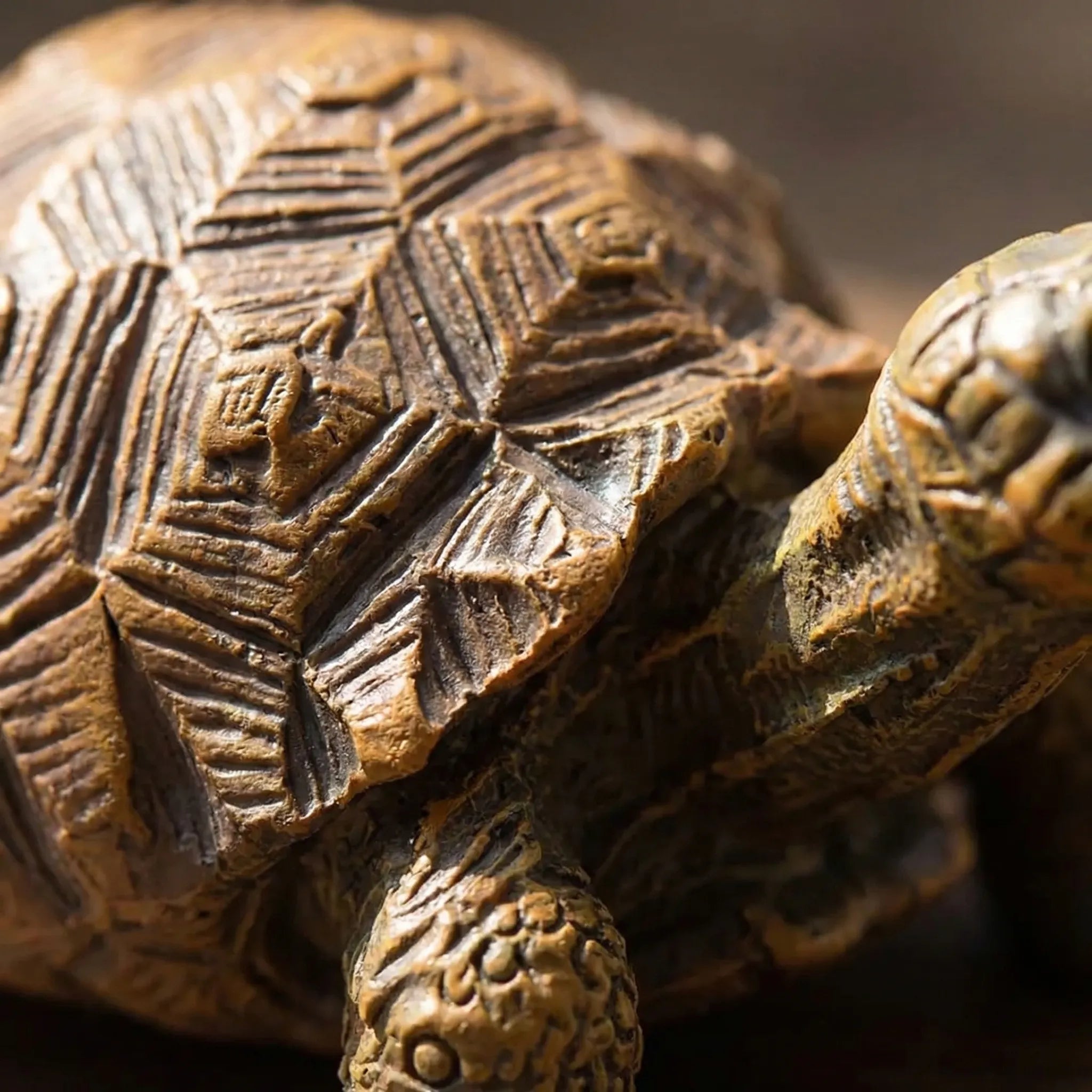 Nordspur | Shellgrip Miniature Pot-Hanging Tortoise Figurine