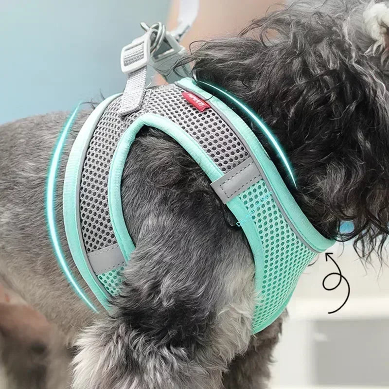 Nordspur | Snoutfit Adjustable Vest Harness With Matching Lead