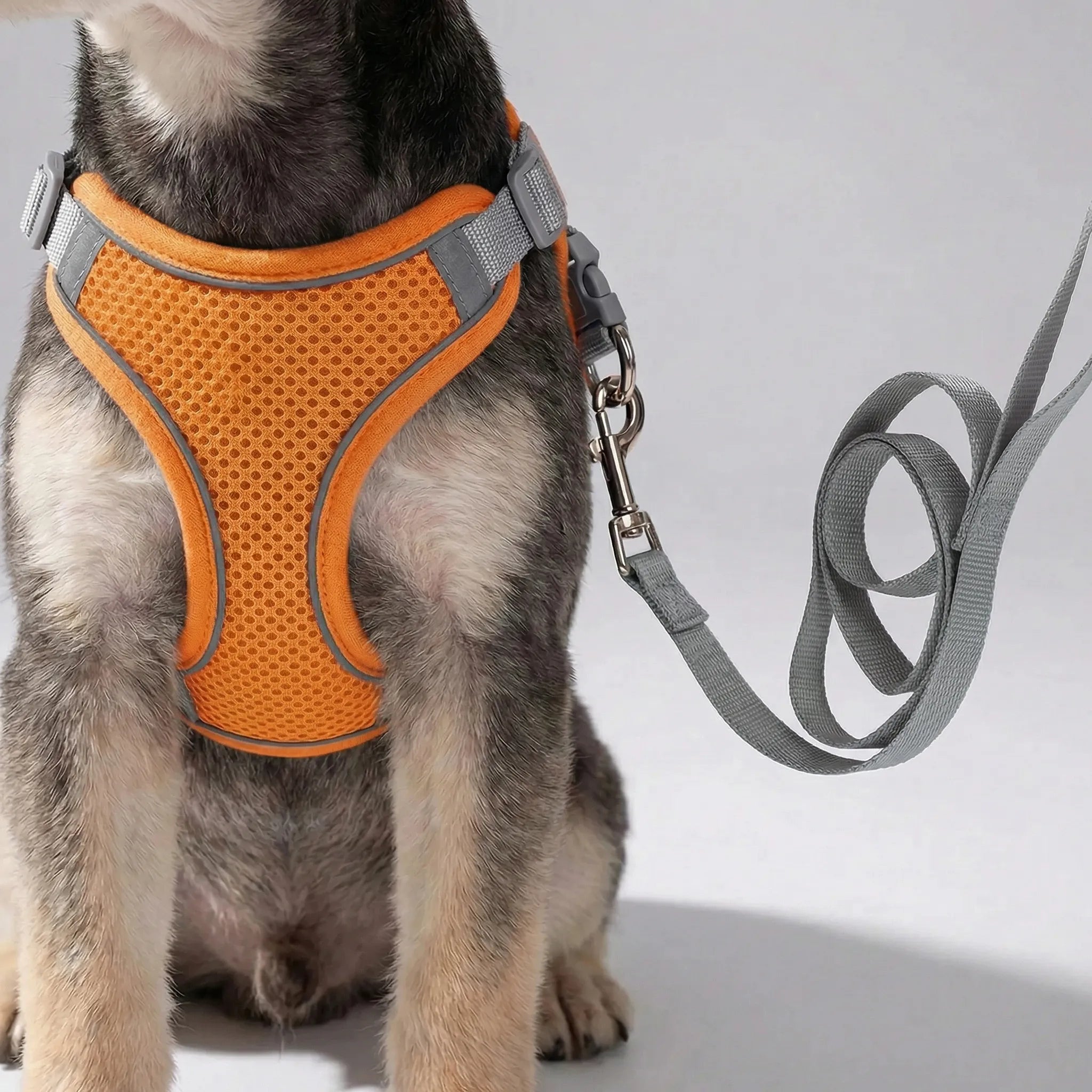 Nordspur | Snoutfit Adjustable Vest Harness With Matching Lead