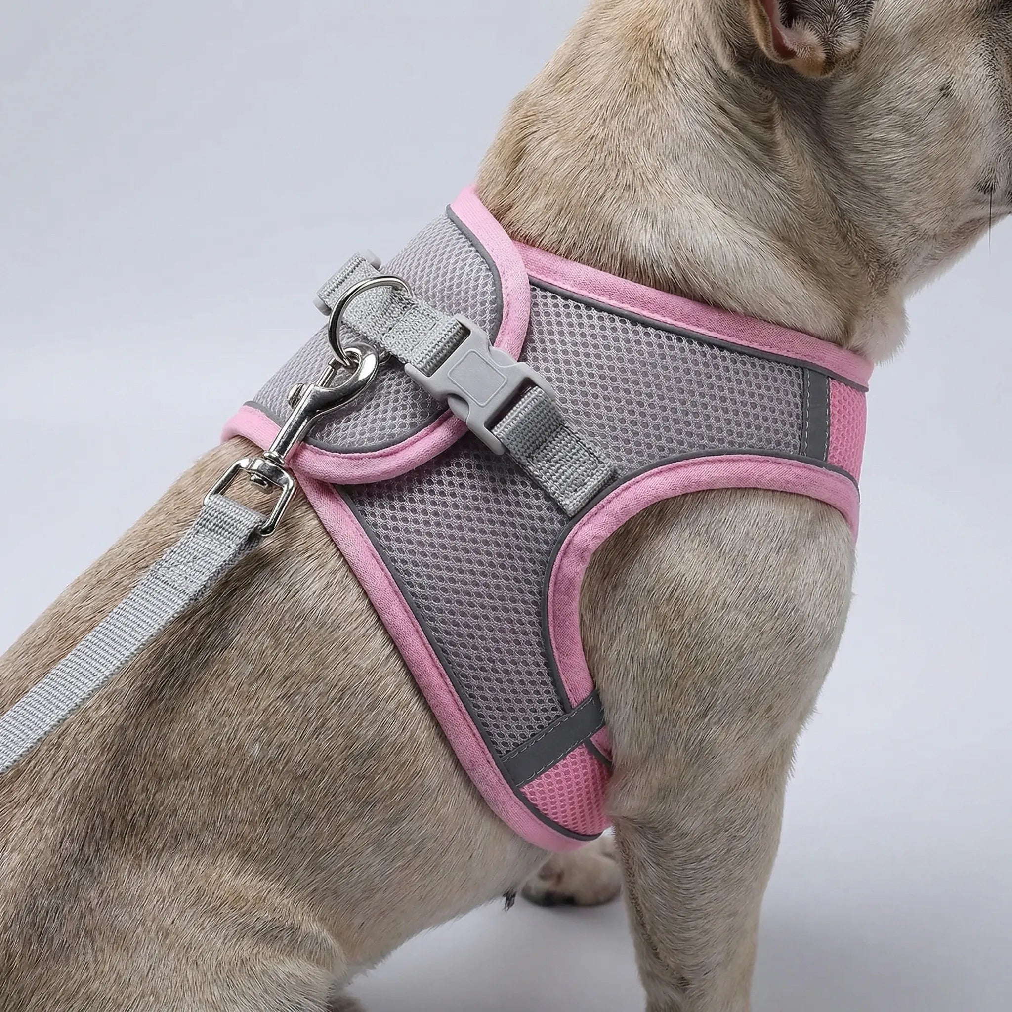 Nordspur | Snoutfit Adjustable Vest Harness With Matching Lead