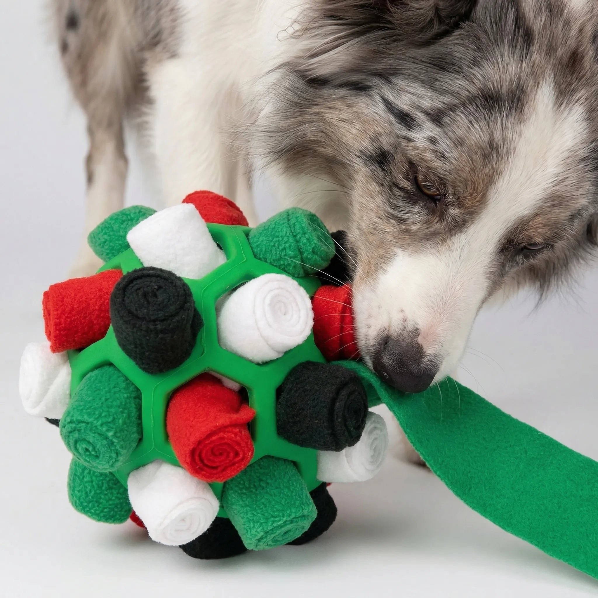 Interaktiver Schnüffelball für Hunde mit Leckerli-Taschen und Riemengriff