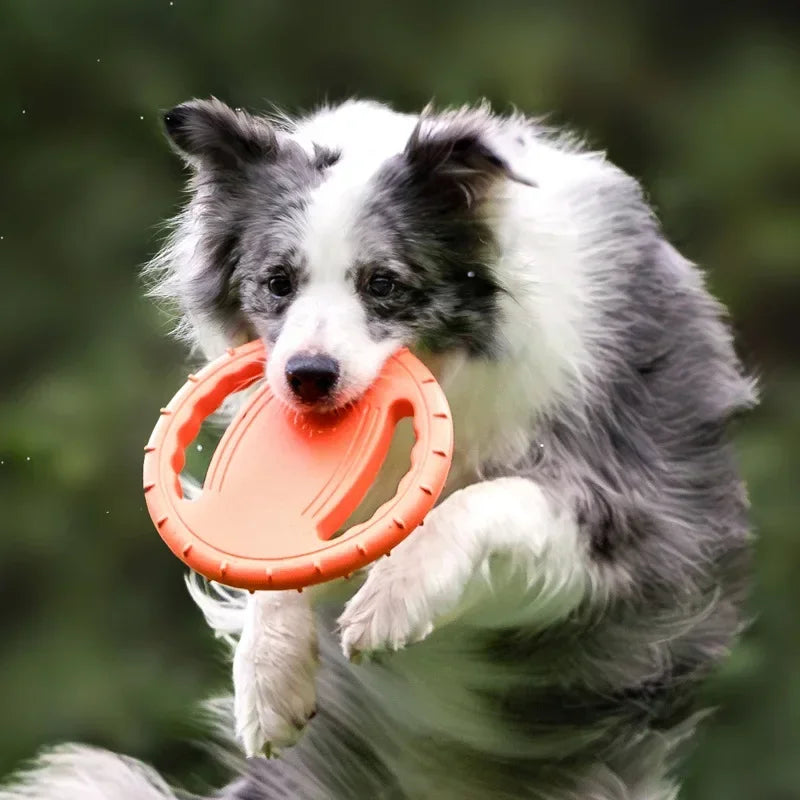 Nordspur | Soarix Floating Dog Flying Disc