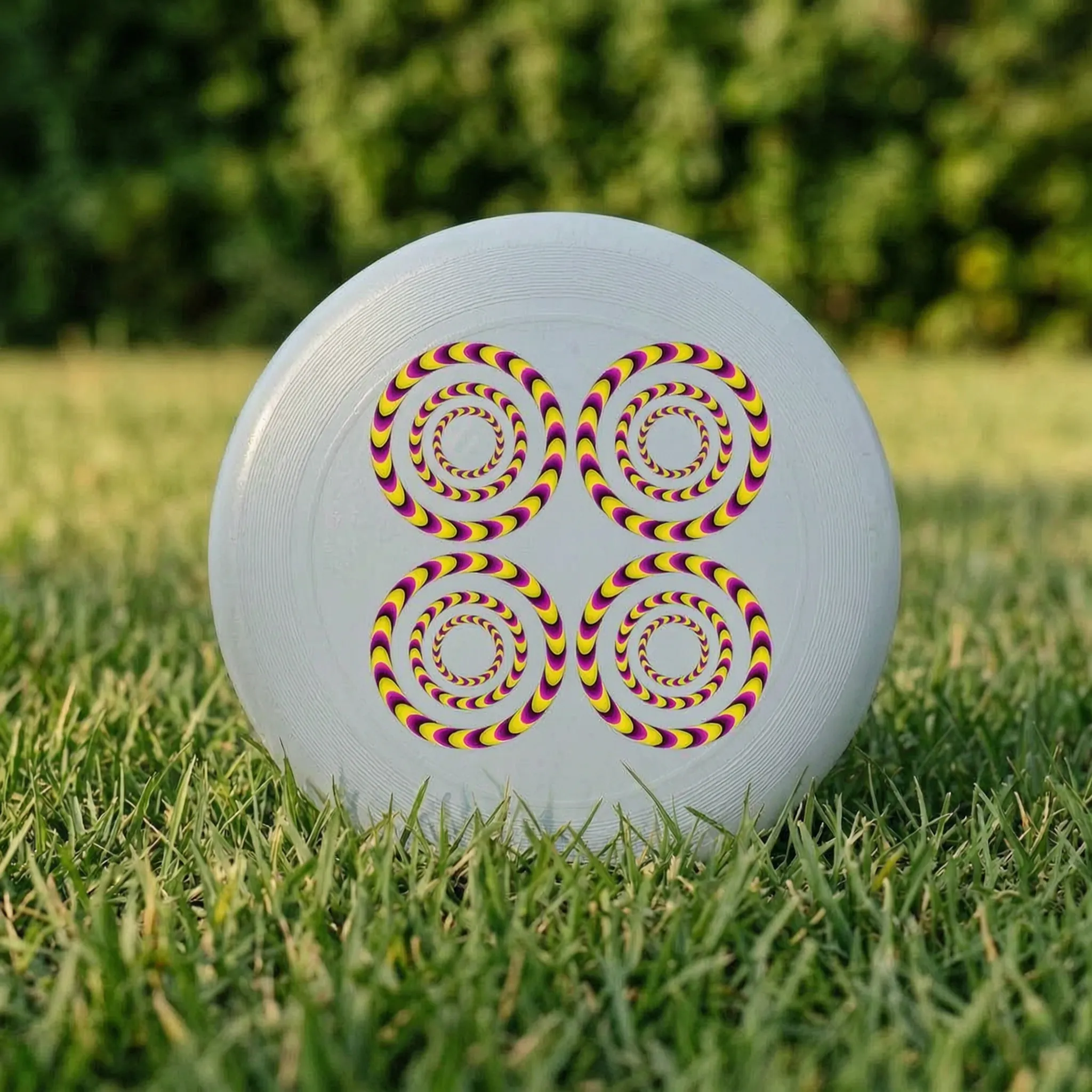 Nordspur | Spinix Printed Flying Disc