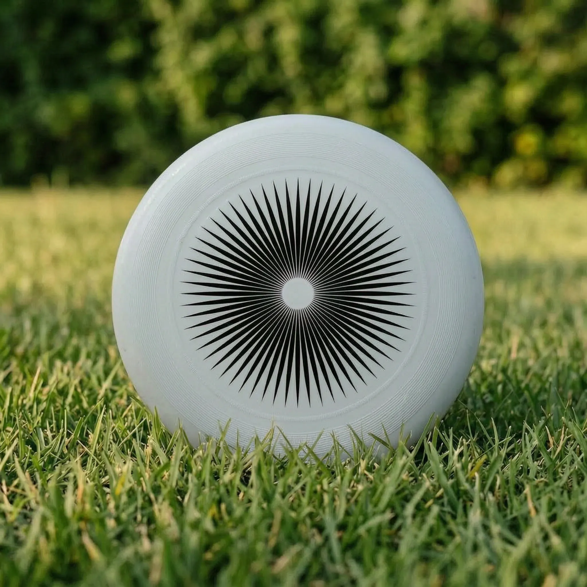 Nordspur | Spinix Printed Flying Disc