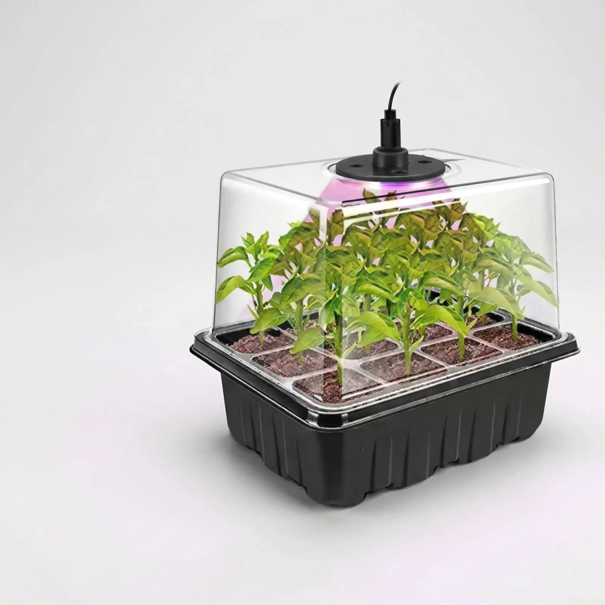 Nordspur | Sprowtix Seed Starter Tray With Built-In Grow Light
