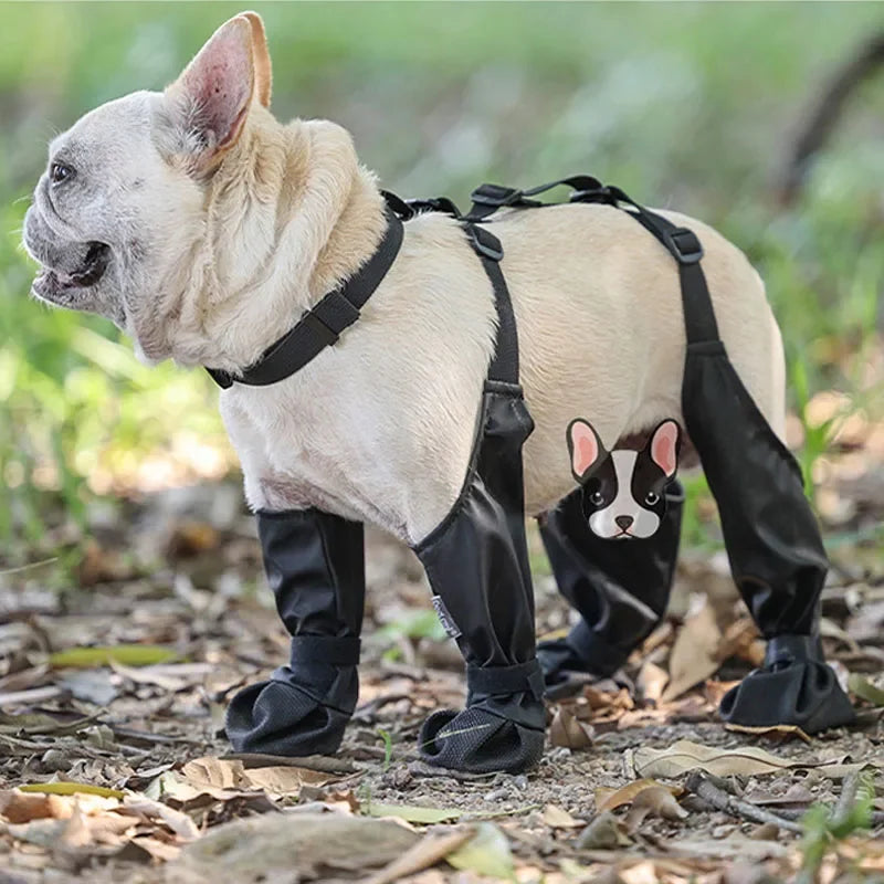 Nordspur | Stridely Adjustable Over-Back Suspender Dog Boots
