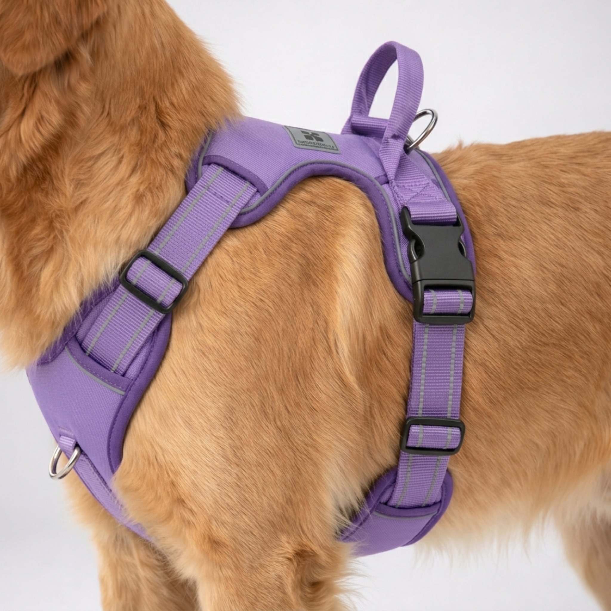 Nordspur | Strutpaw Adjustable No-Pull Chest Harness