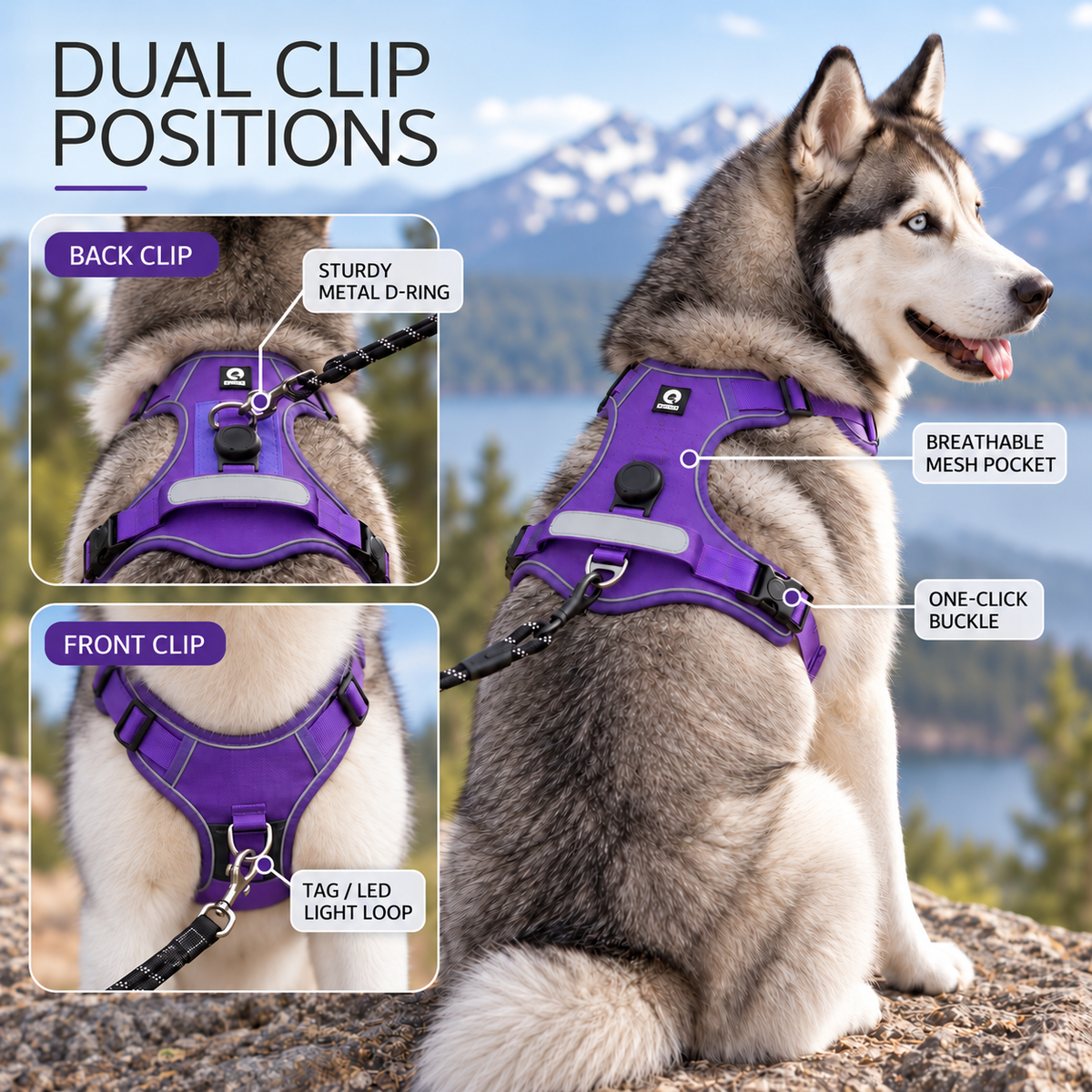 Nordspur | Strutpaw Adjustable No-Pull Chest Harness