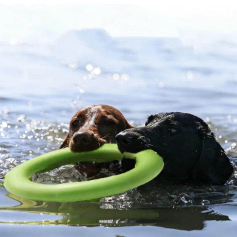 Nordspur | Tosslin Floating Ring Dog Toy