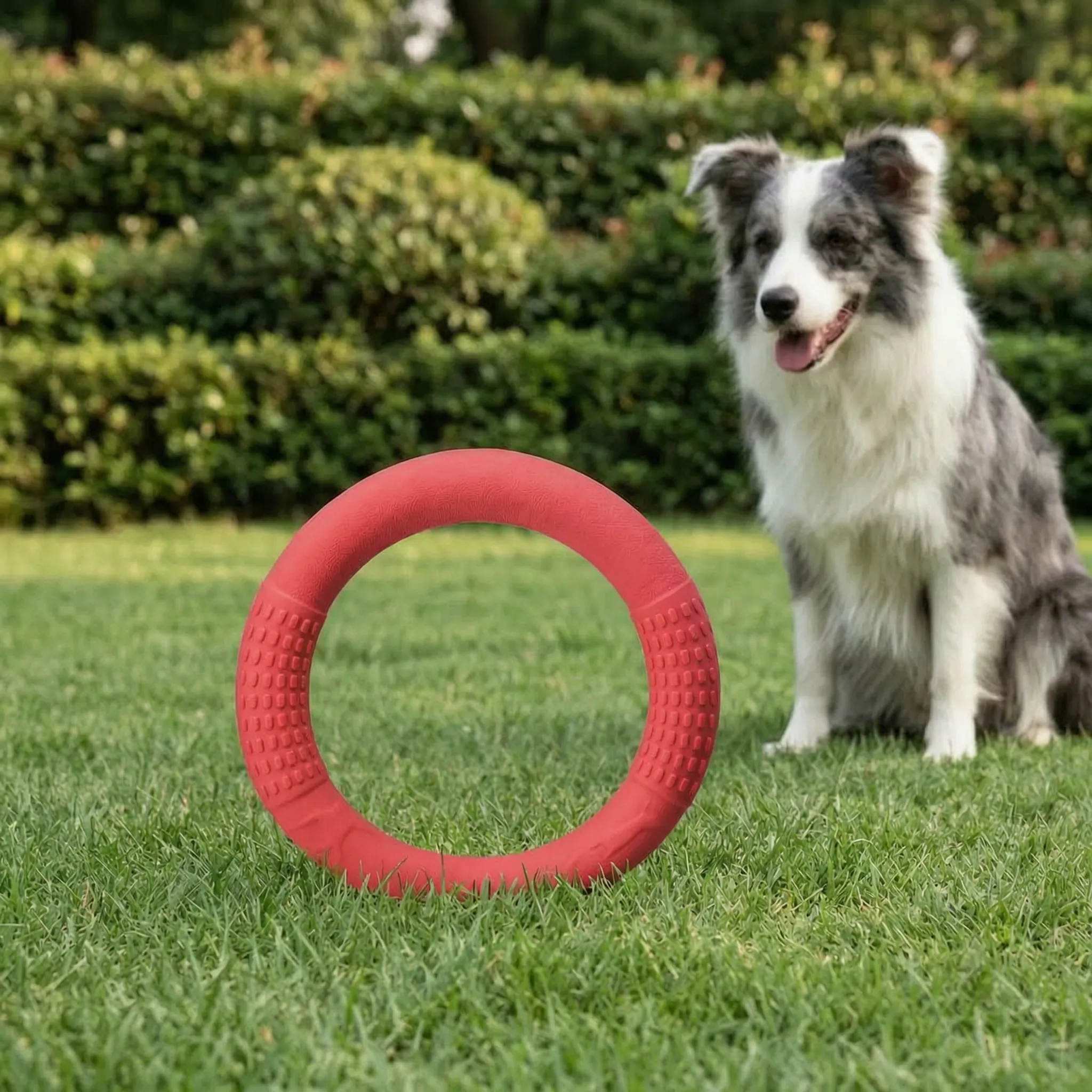 Nordspur | Tosslin Floating Ring Dog Toy