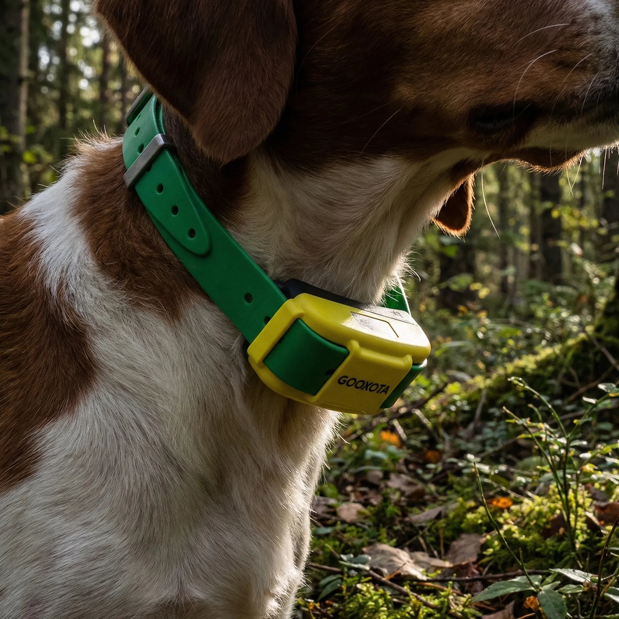 Nordspur | Trackhound 4G GPS Hunting Dog Collar