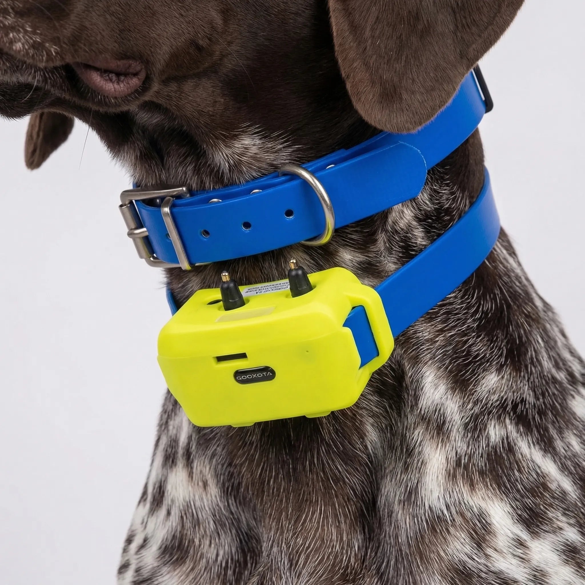 Nordspur | Trackhound 4G GPS Hunting Dog Collar