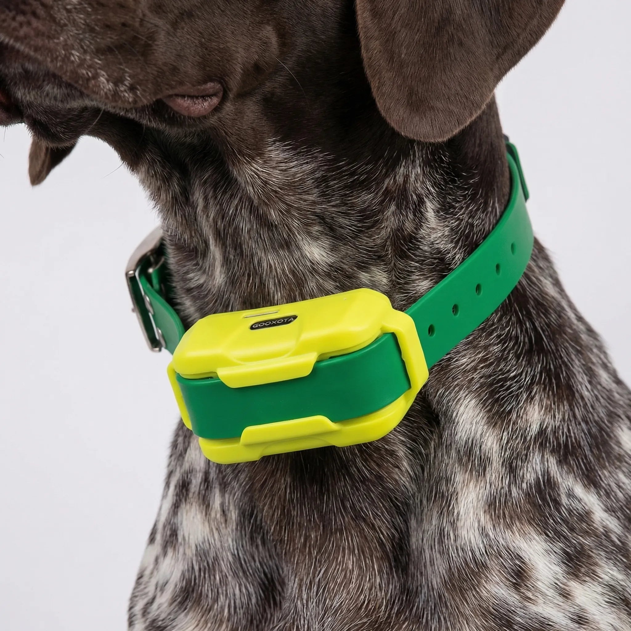 Nordspur | Trackhound 4G GPS Hunting Dog Collar
