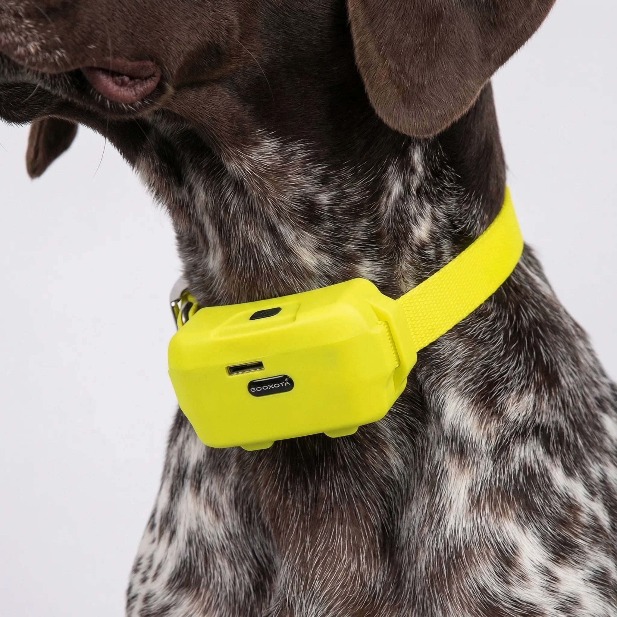 Nordspur | Trackhound 4G GPS Hunting Dog Collar