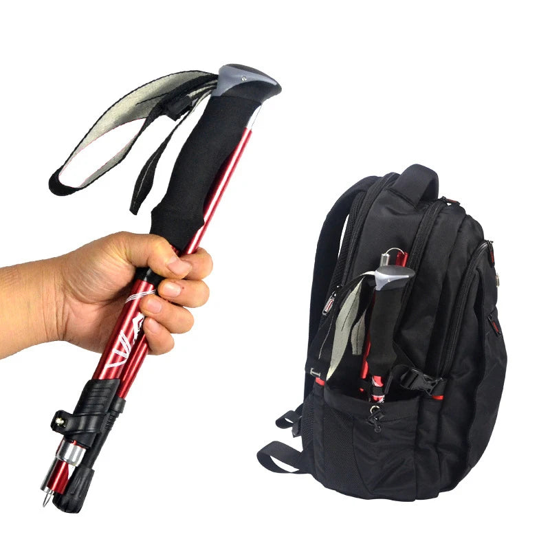 Nordspur | Treklynx Five Section Folding Pole