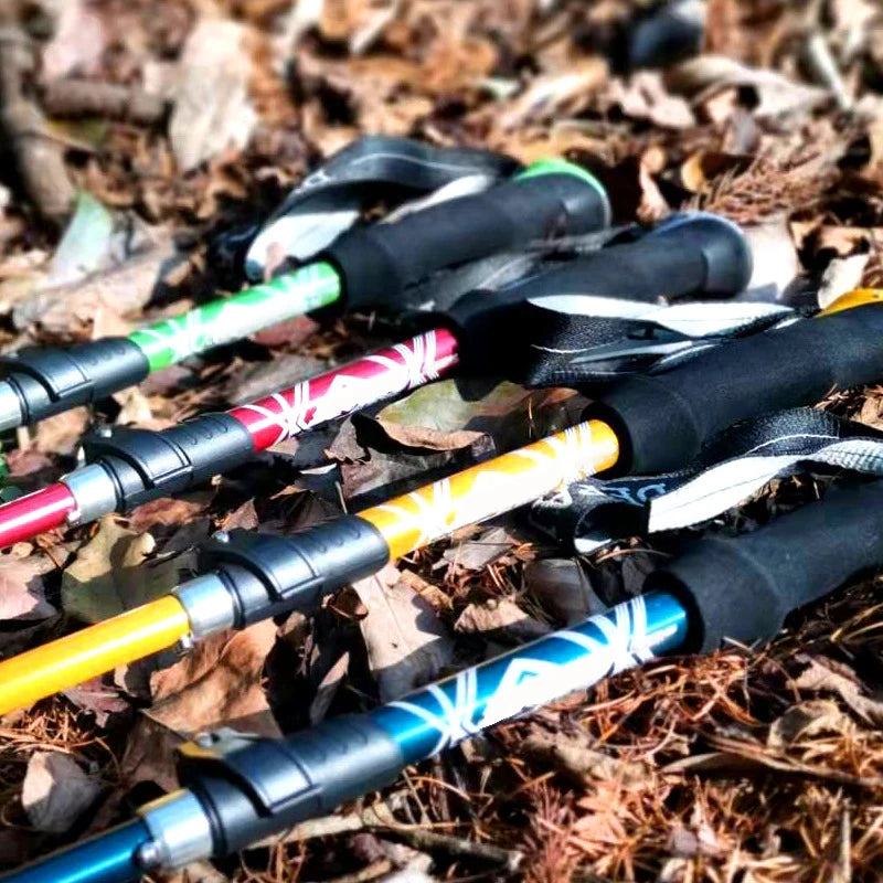 Nordspur | Treklynx Five Section Folding Pole