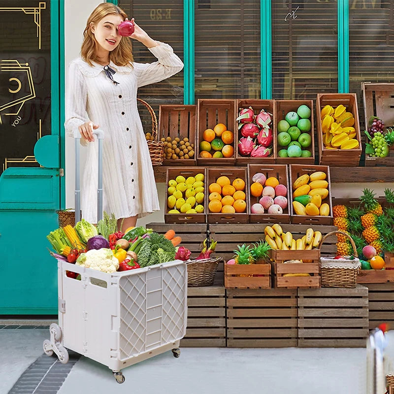 Nordspur | Trollivo Foldable Wheeled Shopping Trolley With Lid