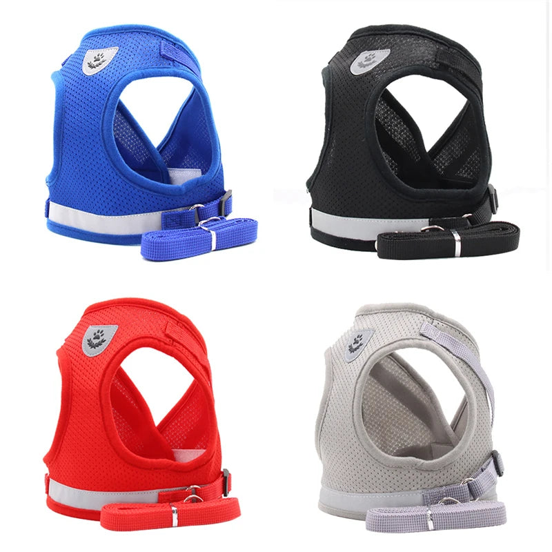 Nordspur | Trotley Adjustable Vest Harness With Matching Lead