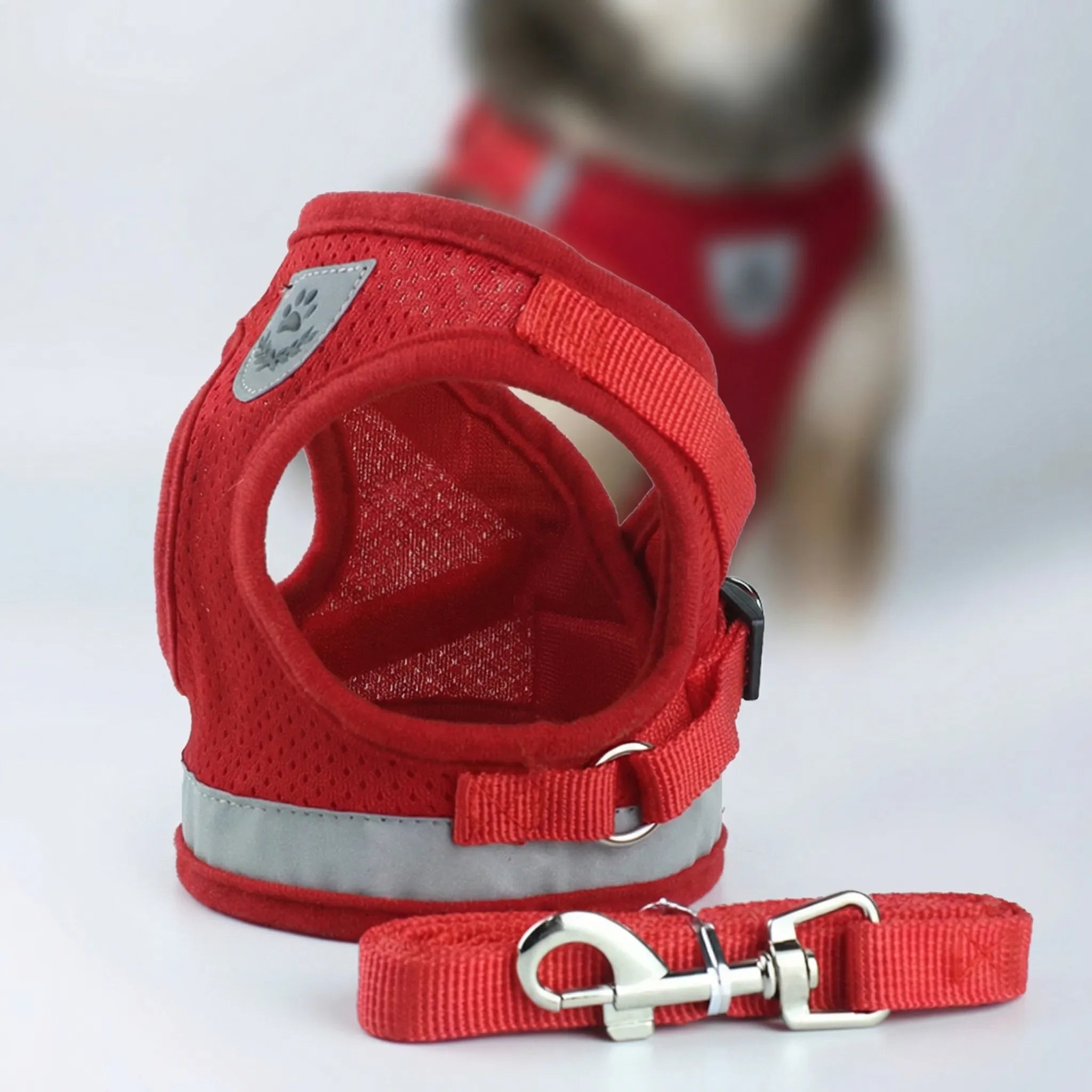 Nordspur | Trotley Adjustable Vest Harness With Matching Lead