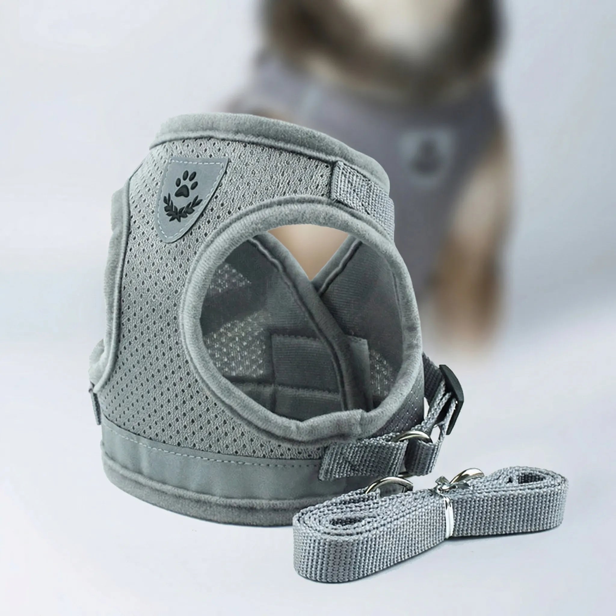 Nordspur | Trotley Adjustable Vest Harness With Matching Lead