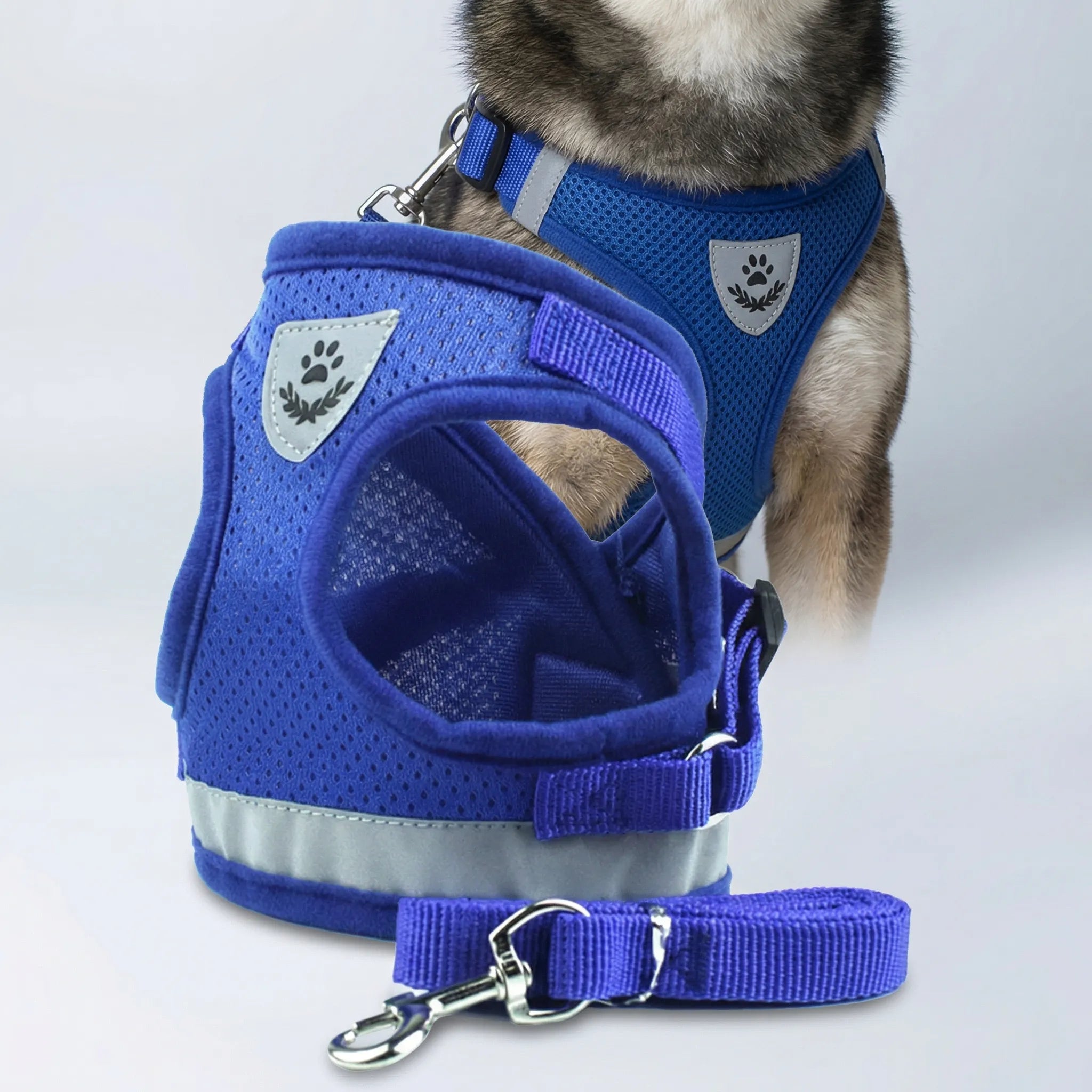 Nordspur | Trotley Adjustable Vest Harness With Matching Lead