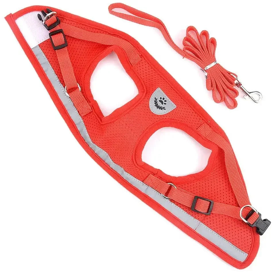 Nordspur | Vestipet Adjustable Reflective Vest Harness For Small Dogs