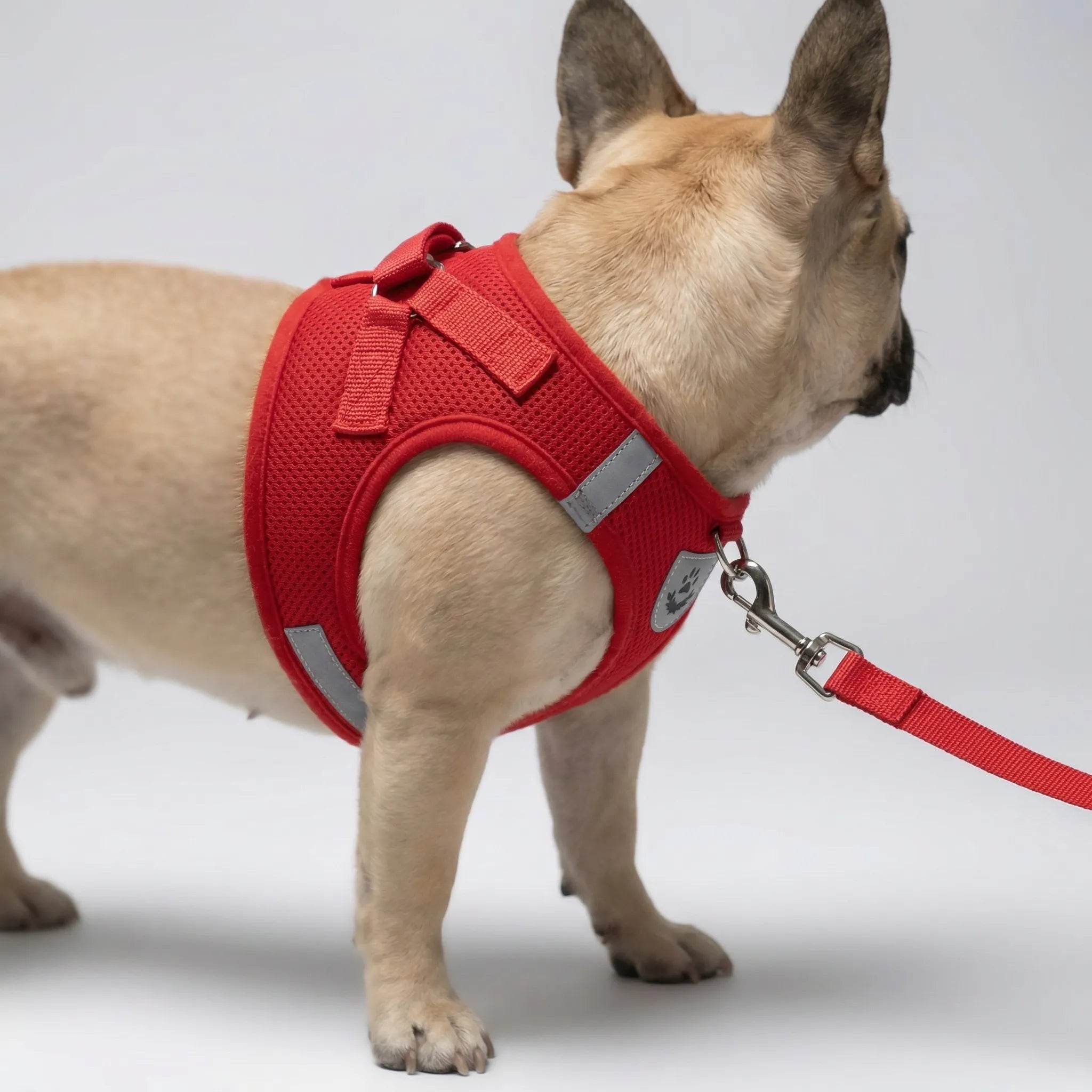 Nordspur | Vestipet Adjustable Reflective Vest Harness For Small Dogs