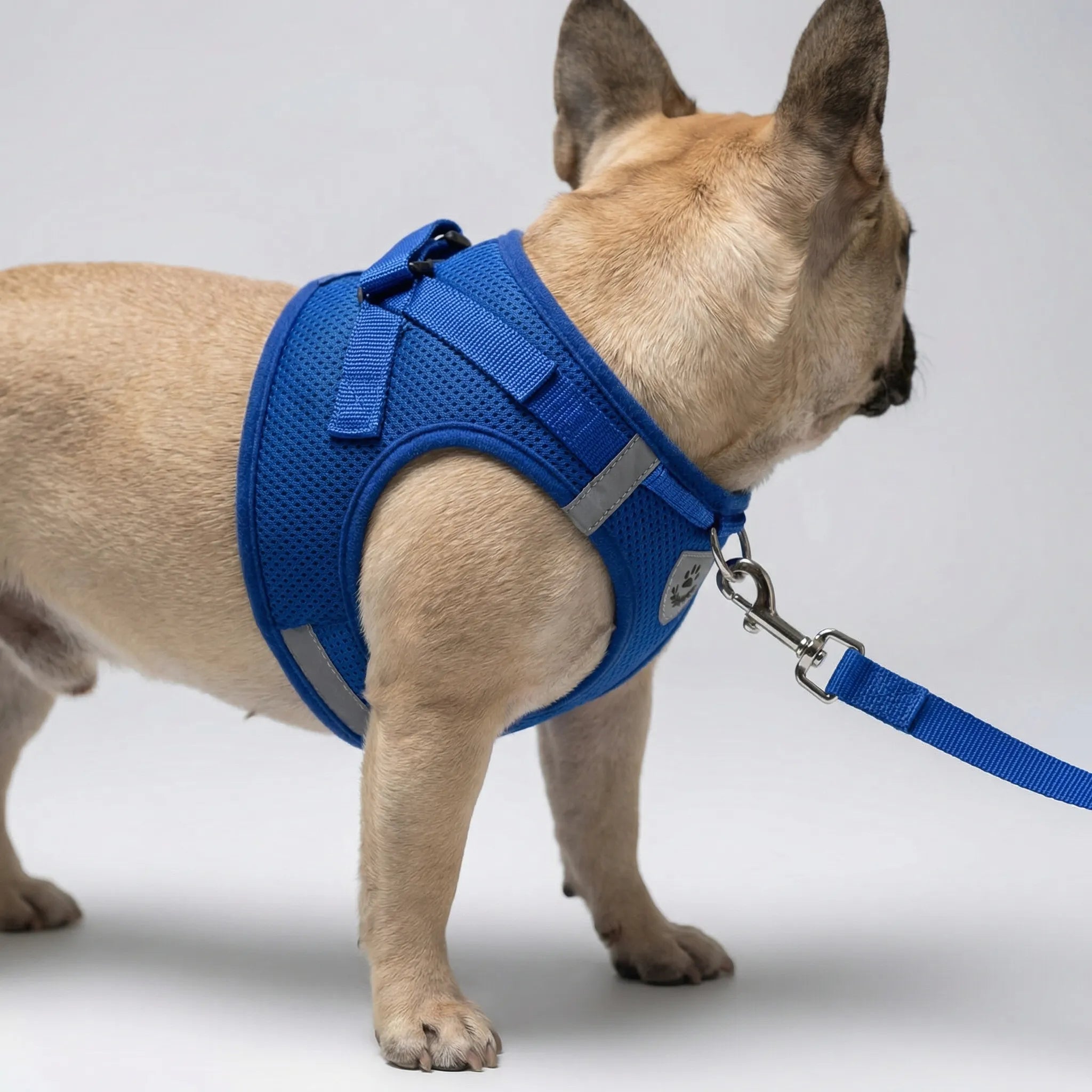 Nordspur | Vestipet Adjustable Reflective Vest Harness For Small Dogs
