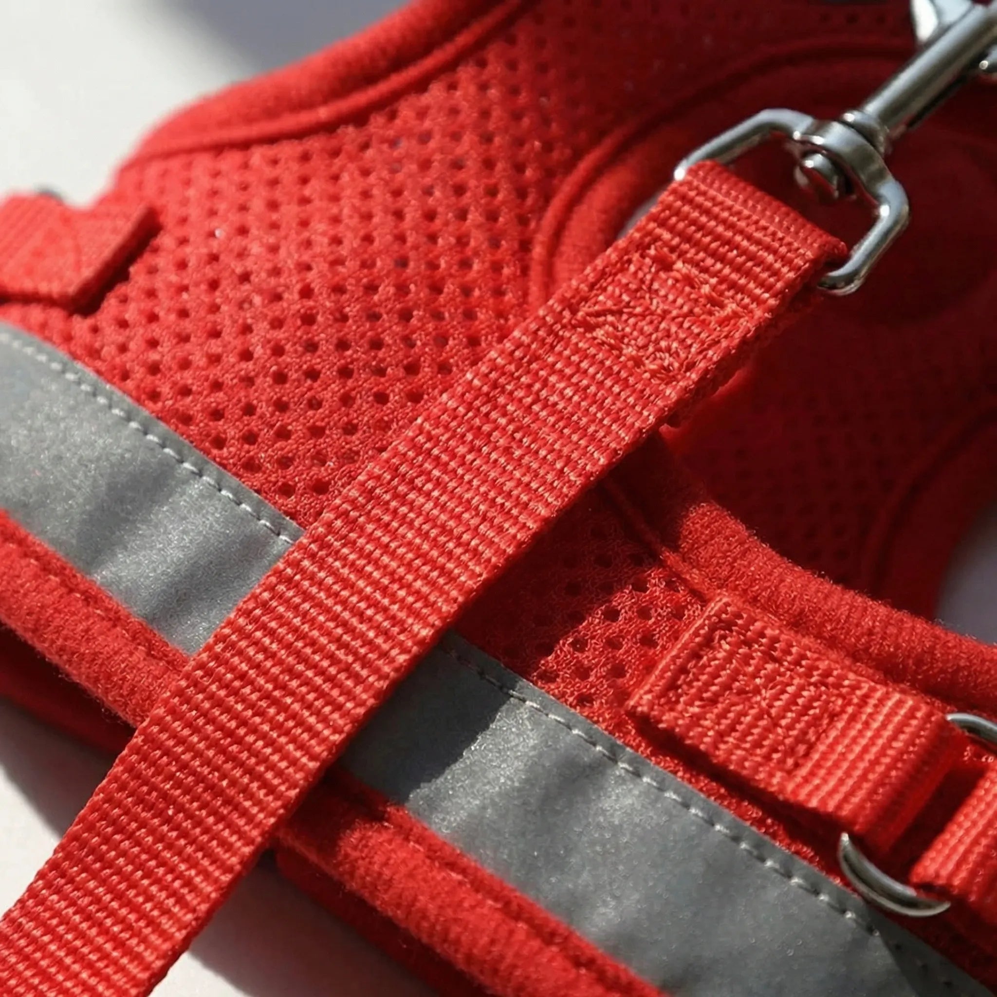 Nordspur | Vestipet Adjustable Reflective Vest Harness For Small Dogs