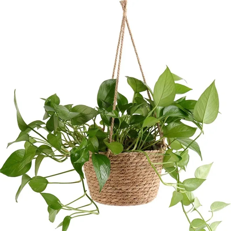 Nordspur | Weavenly Woven Rope Hanging Plant Basket