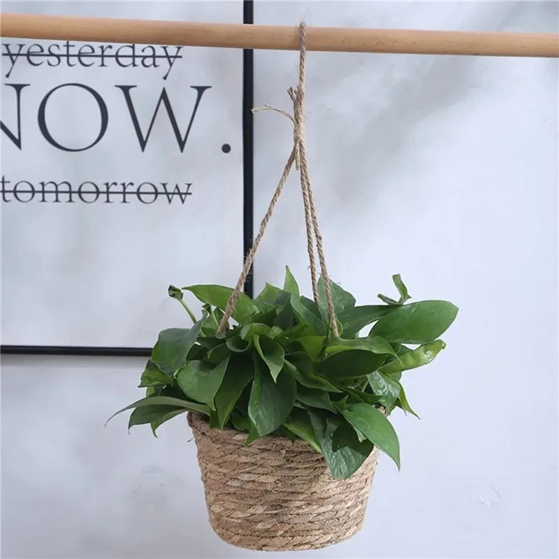 Nordspur | Weavenly Woven Rope Hanging Plant Basket