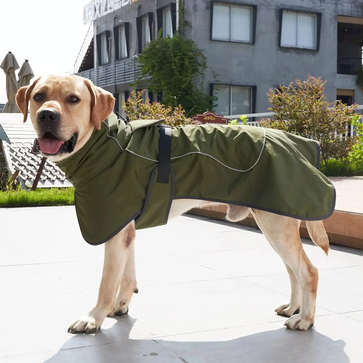 Nordspur | Woofclad Windproof Vest With Integrated Harness