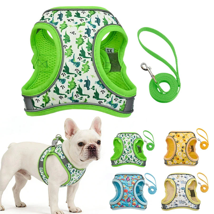 Nordspur | Wooflet Small Dog Harness And Lead Set