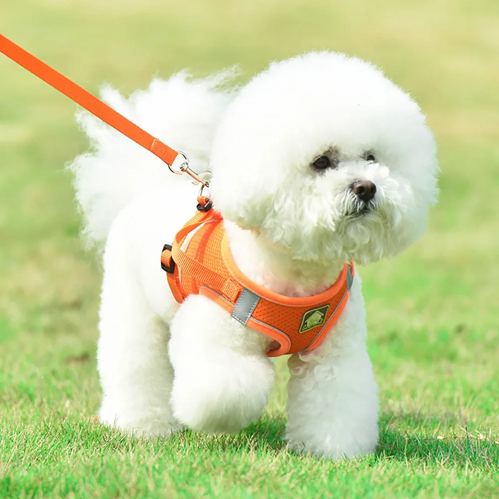 Nordspur | Woofwear Reflective Vest-Style Dog Harness