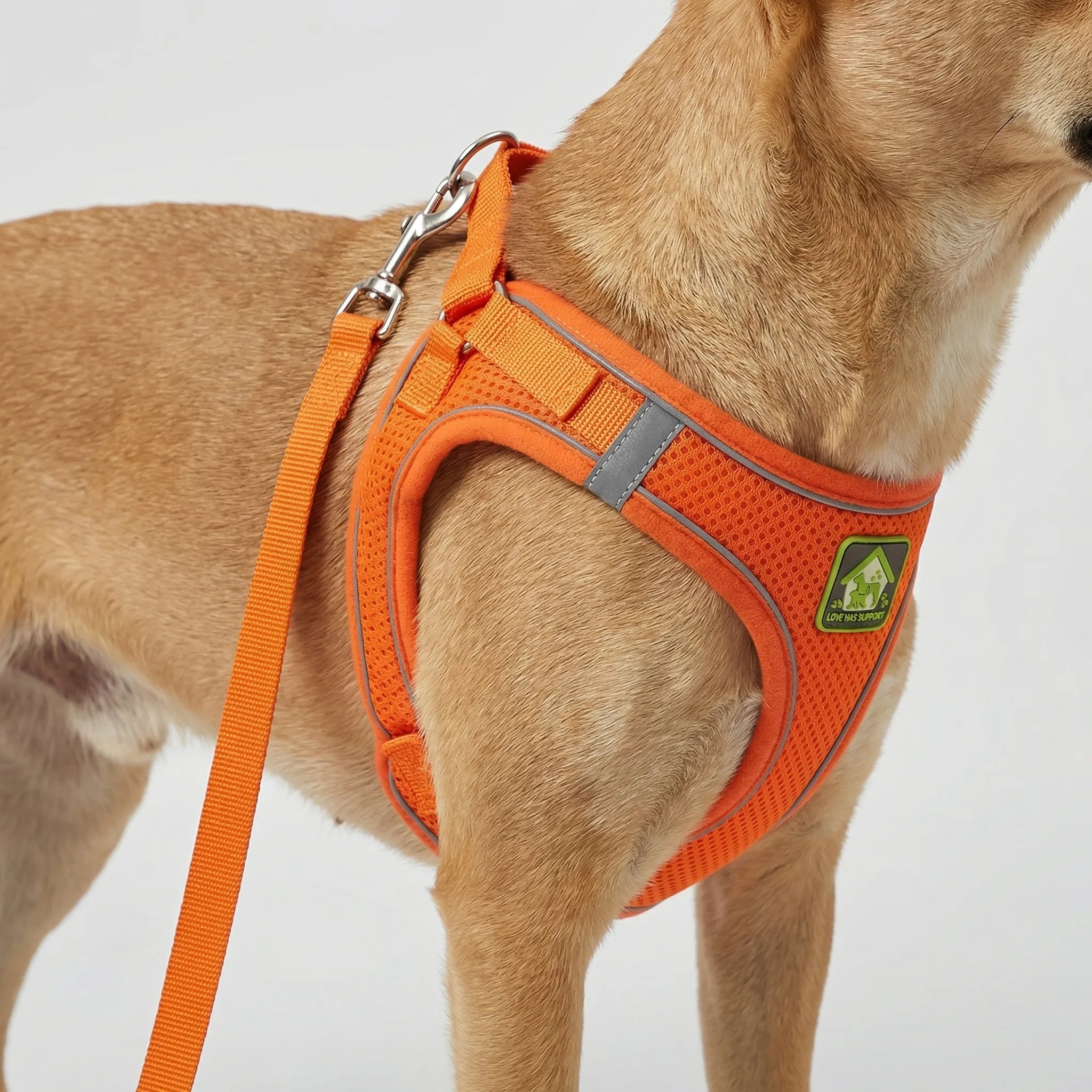 Nordspur | Woofwear Reflective Vest-Style Dog Harness